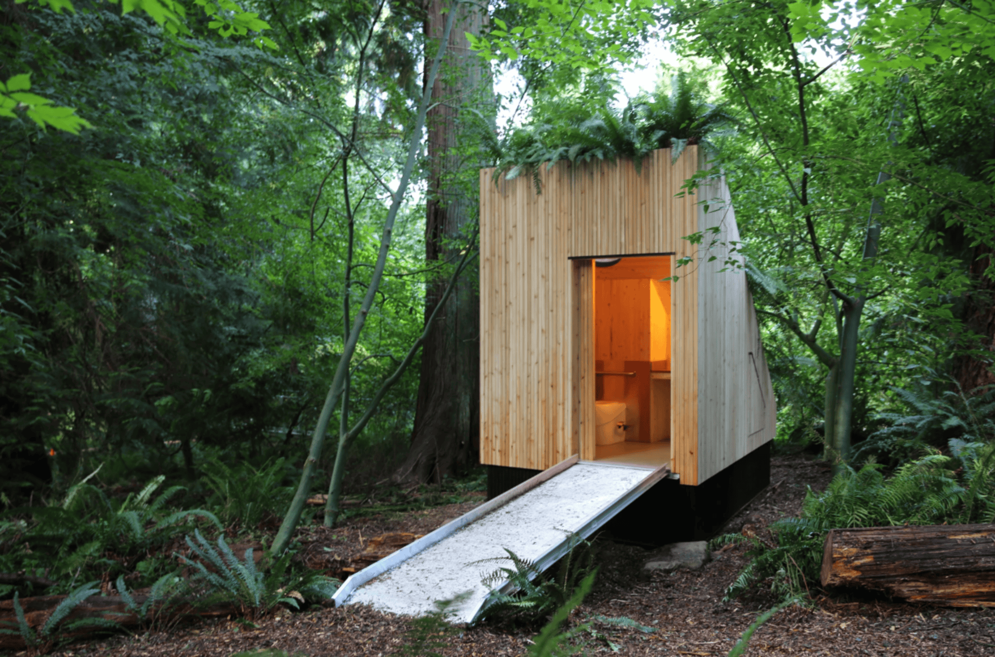 Vaso sanitário sem água usa cogumelos para transformar resíduos em adubo - Imagem do artigo