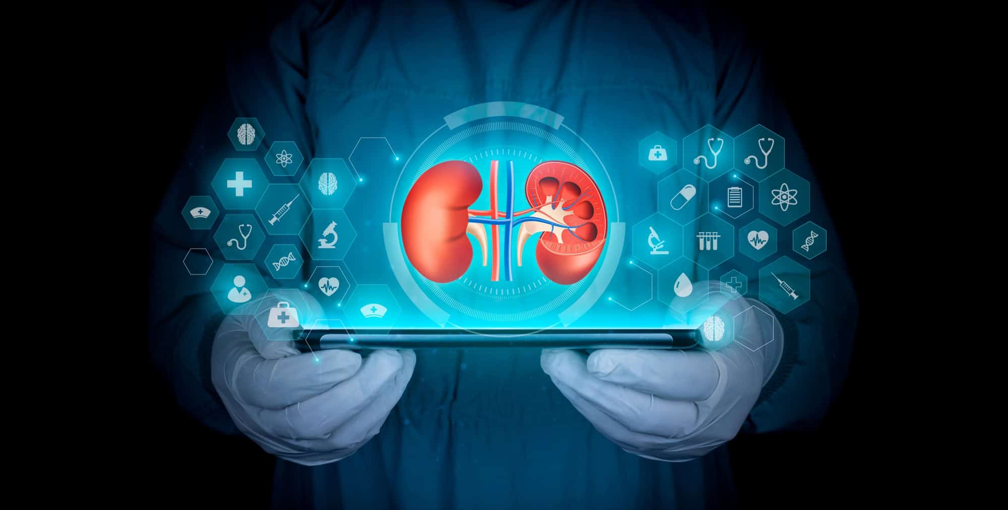 Consumo de água e ajustes na dieta reduzem risco de pedras nos rins, apontam especialistas - Imagem do artigo