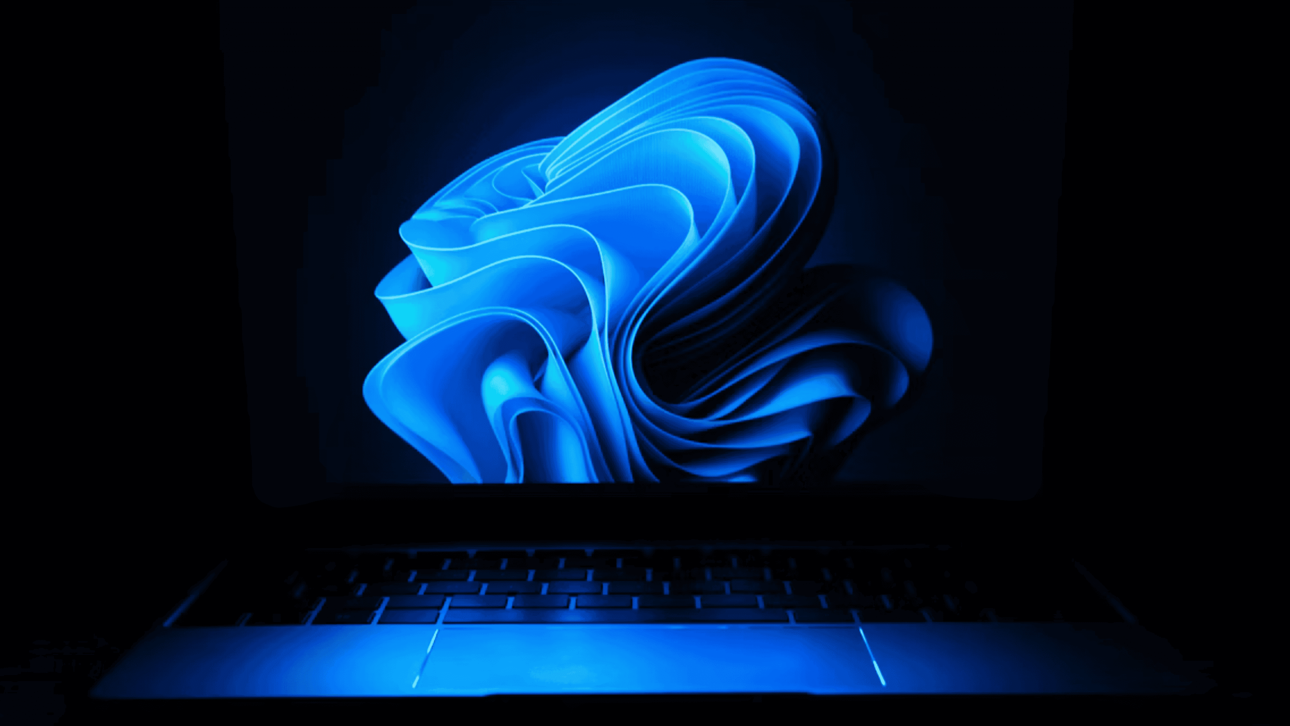 Sete passos essenciais depois de instalar o Windows 11 - Imagem do artigo