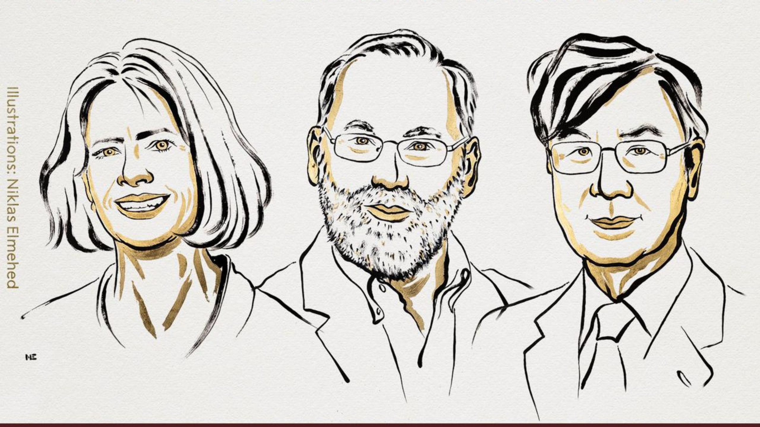 Especialista comenta pesquisa que garantiu Nobel de Medicina 2025 a trio de imunologistas - Imagem do artigo