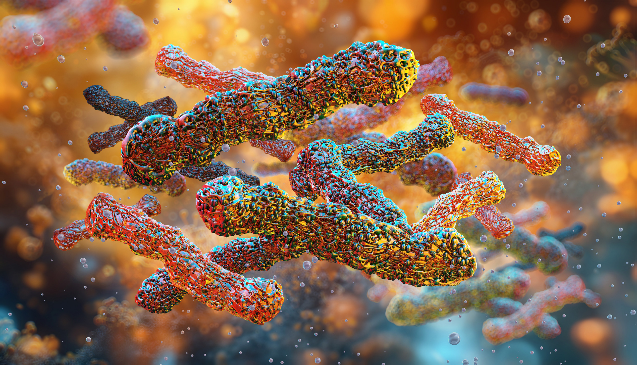 Esporos de Bacillus subtilis resistem a voo espacial e reforçam planos de missões humanas a Marte - Imagem do artigo