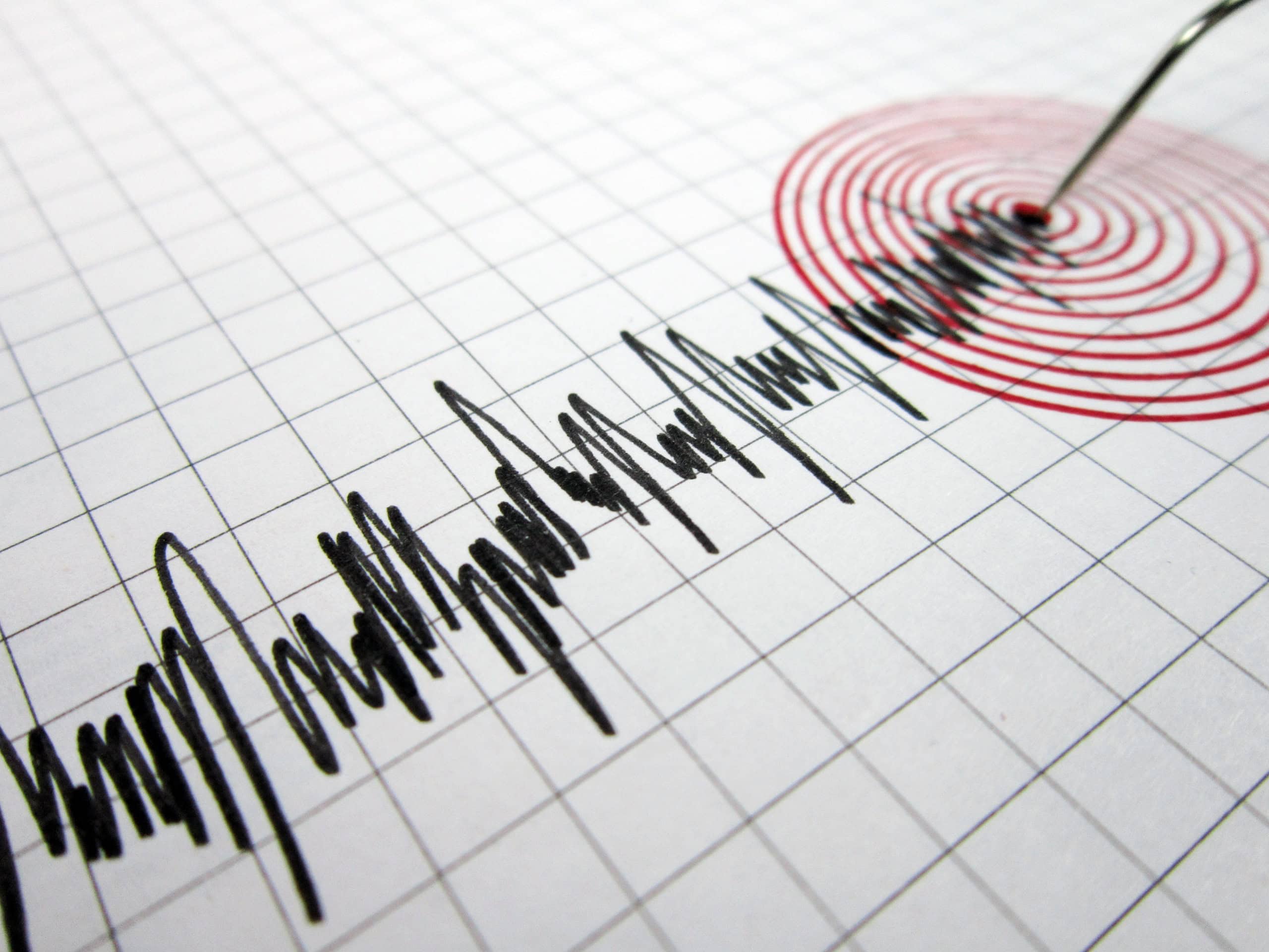 Terremoto de 7,4 graus sacode Mindanao e aciona alerta de tsunami nas Filipinas - Imagem do artigo