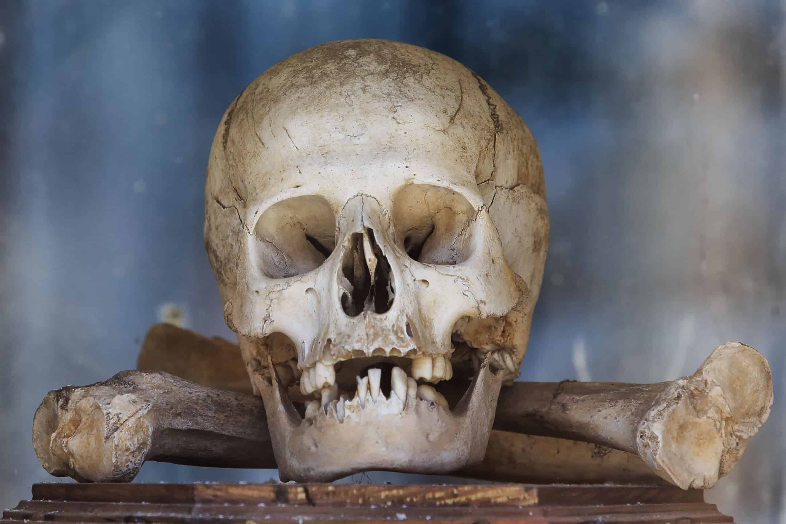 Estudo contesta hipótese de que palito de dente é o hábito mais antigo da humanidade - Imagem do artigo