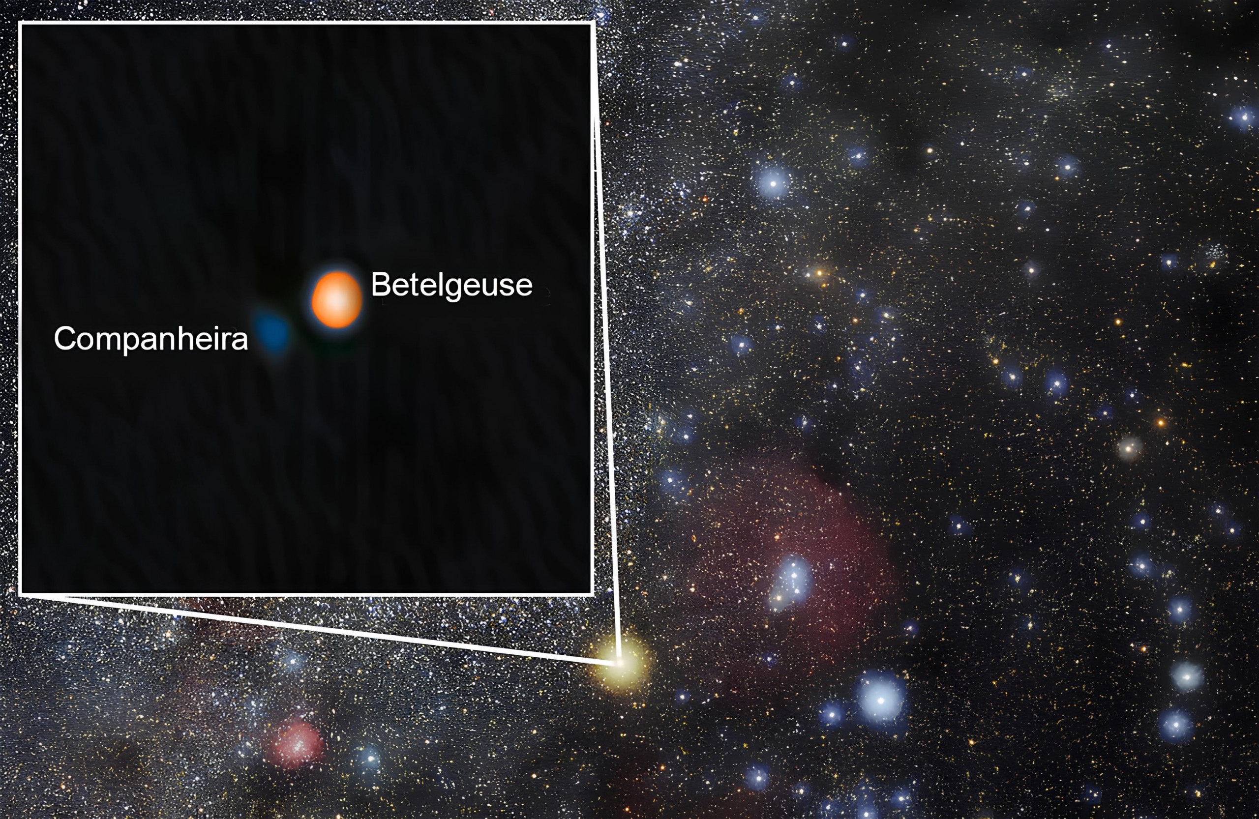 Companheira de Betelgeuse é identificada como estrela jovem e desafia teorias sobre sistemas binários - Imagem do artigo