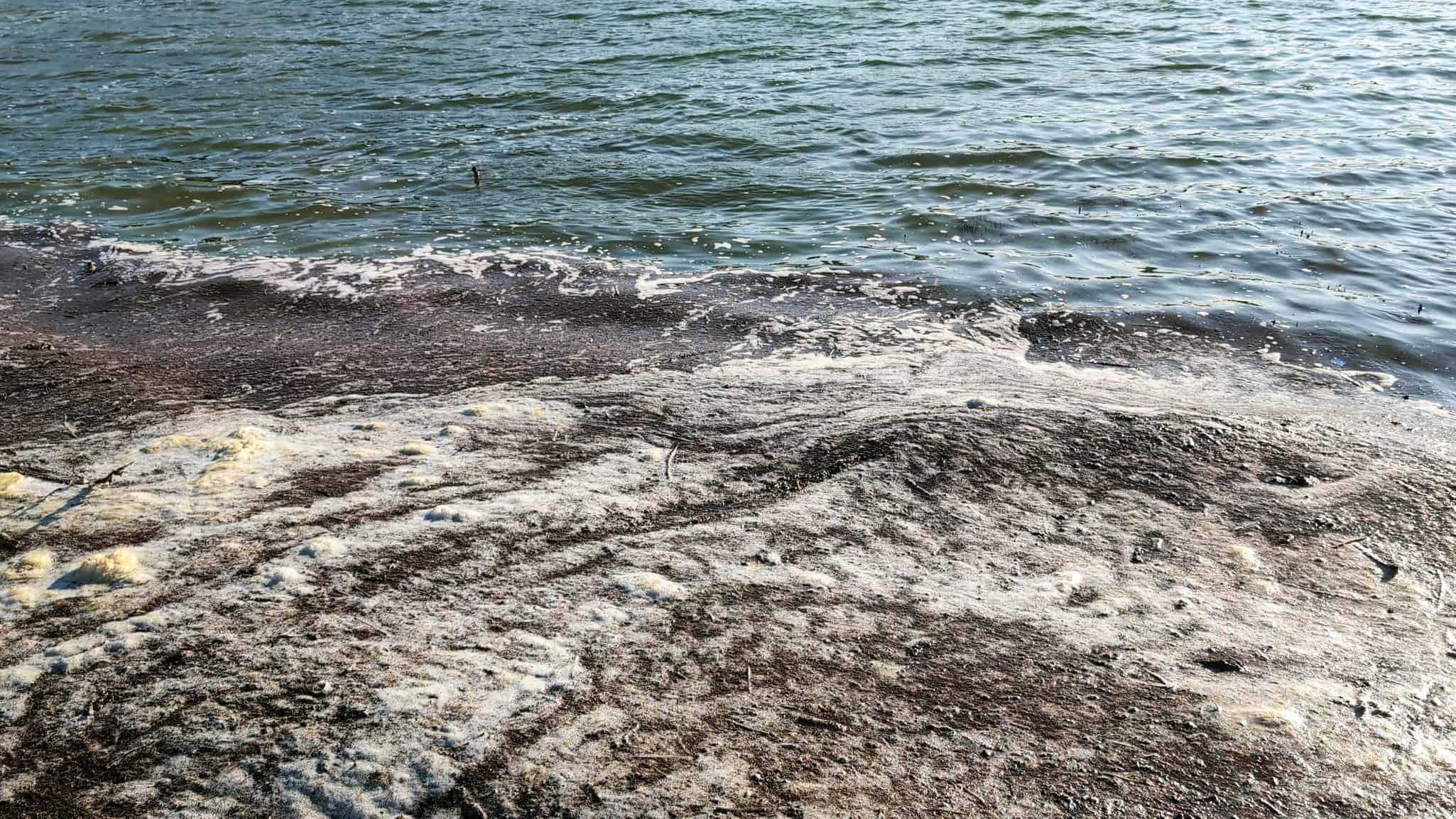 Pesquisadores da Unicamp desenvolvem filtro biodegradável que remove até 98% dos poluentes da água - Imagem do artigo