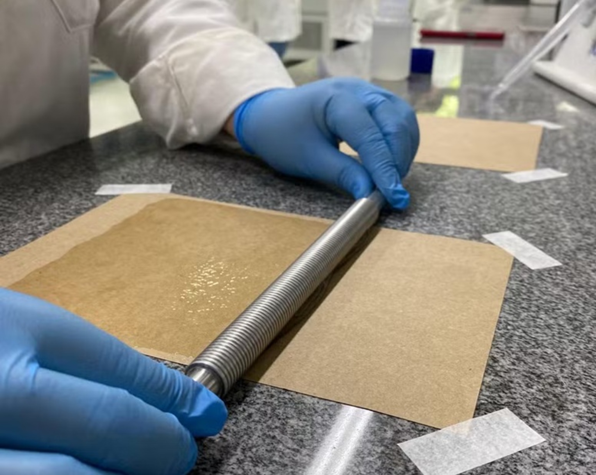 Cientistas do CNPEM desenvolvem papel vegetal que promete substituir plástico em embalagens - Imagem do artigo