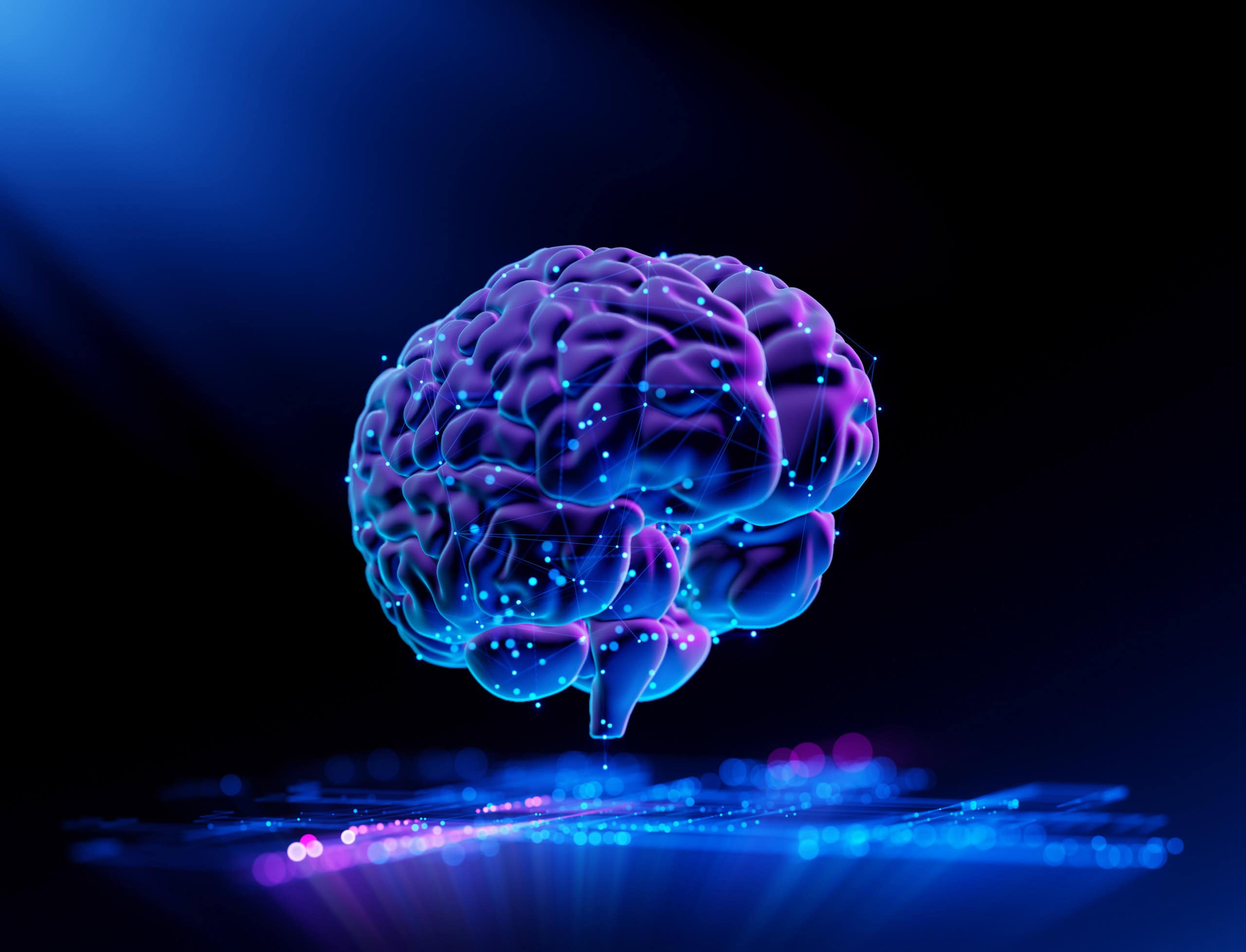 Exposição ao chumbo pode ter favorecido cérebro mais complexo em Homo sapiens, aponta estudo - Imagem do artigo