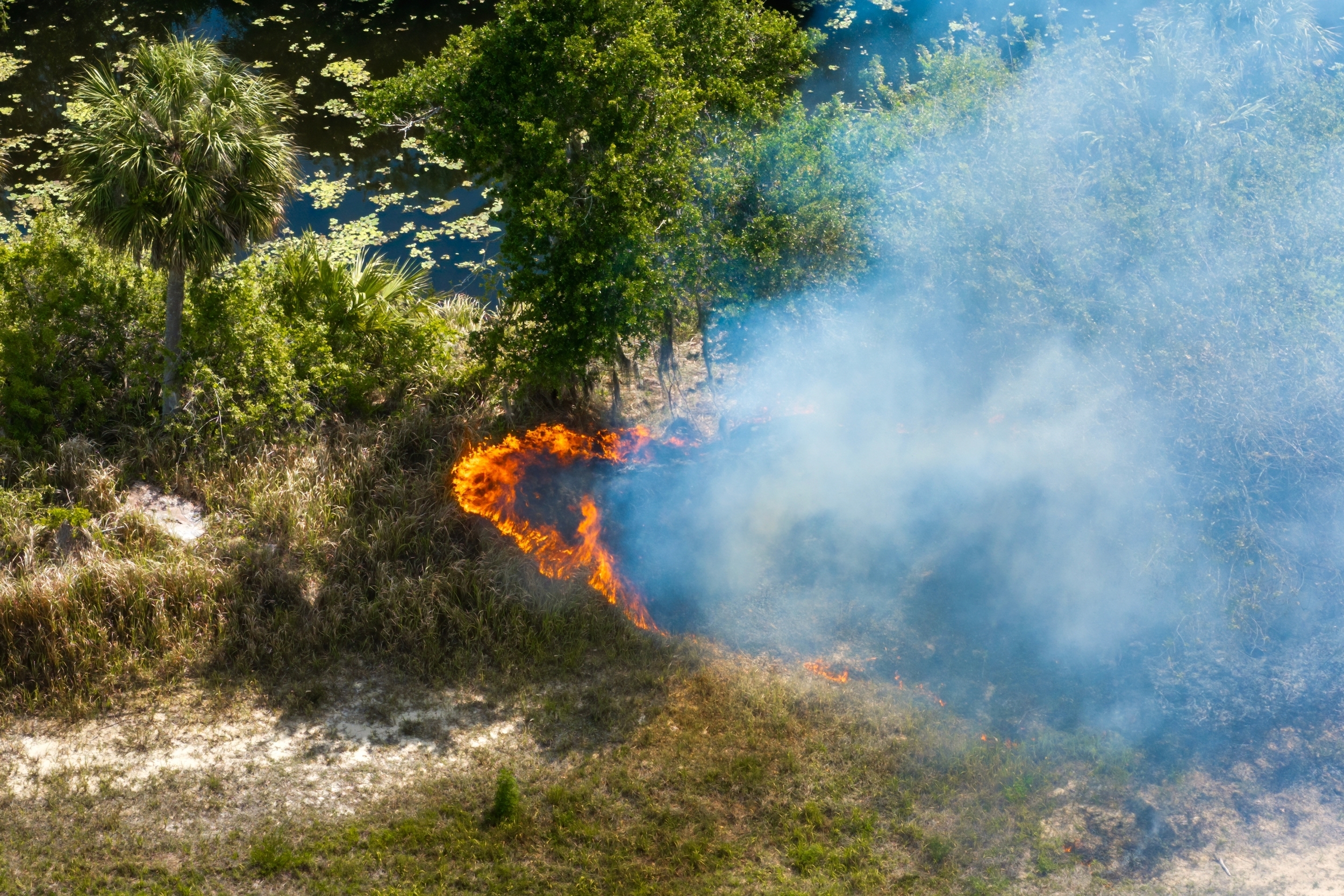 Infrassom desenvolvido por startup promete extinguir incêndios sem uso de água - Imagem do artigo