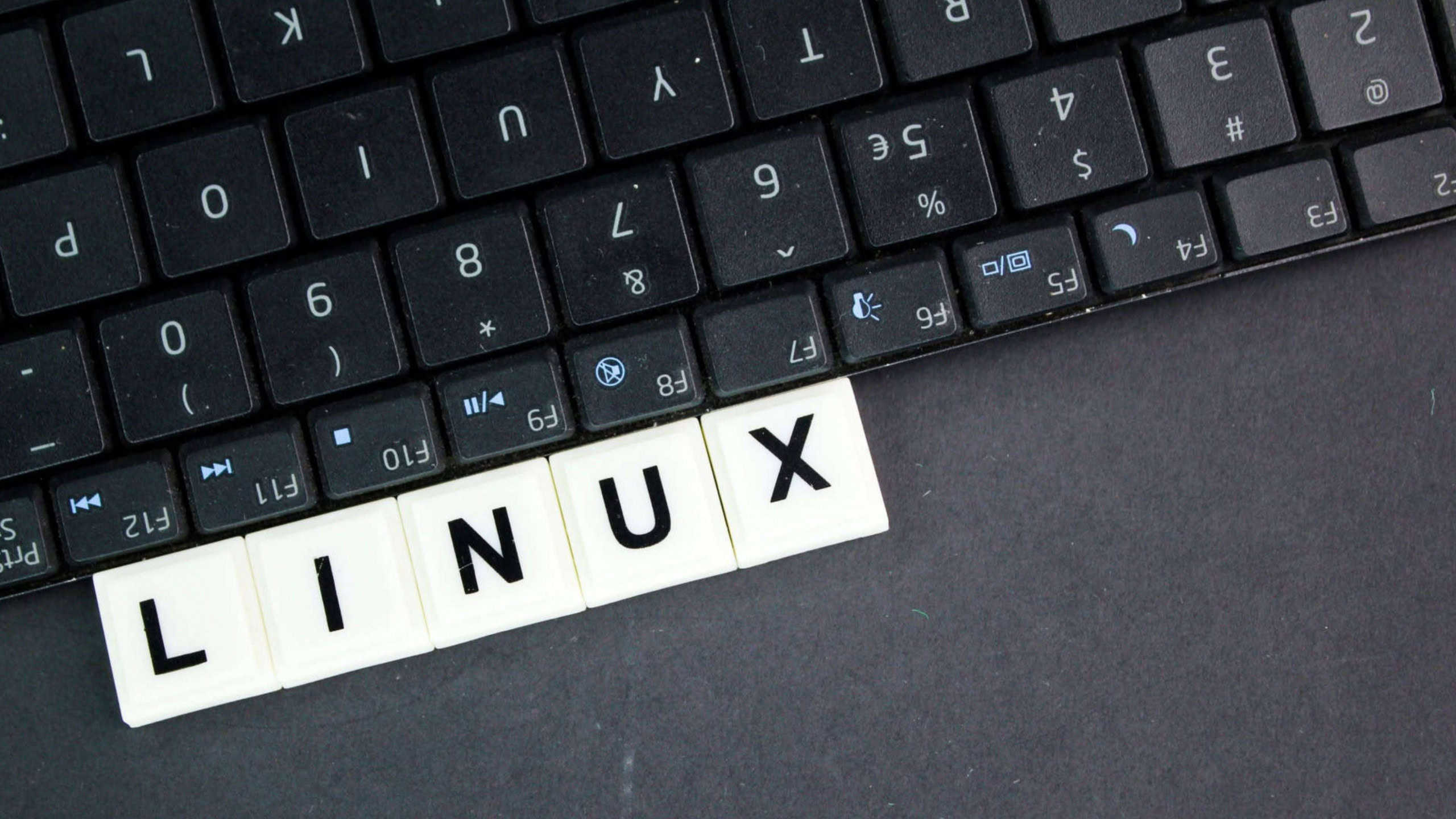 Sete distribuições Linux leves para substituir o Windows 10 e 11 - Imagem do artigo