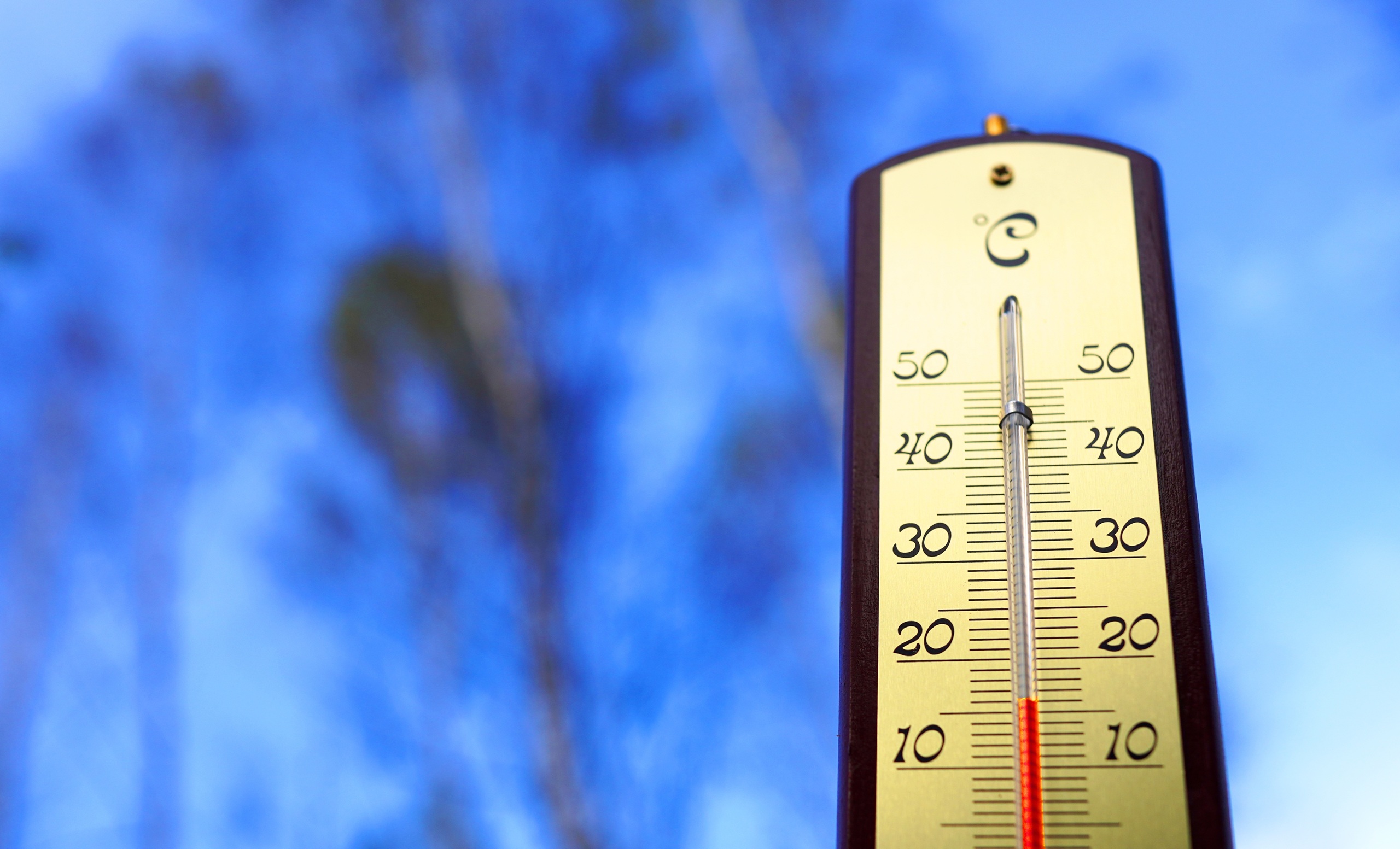 Frente fria e massa de ar polar derrubam temperaturas em São Paulo e geram alerta para frio intenso - Imagem do artigo