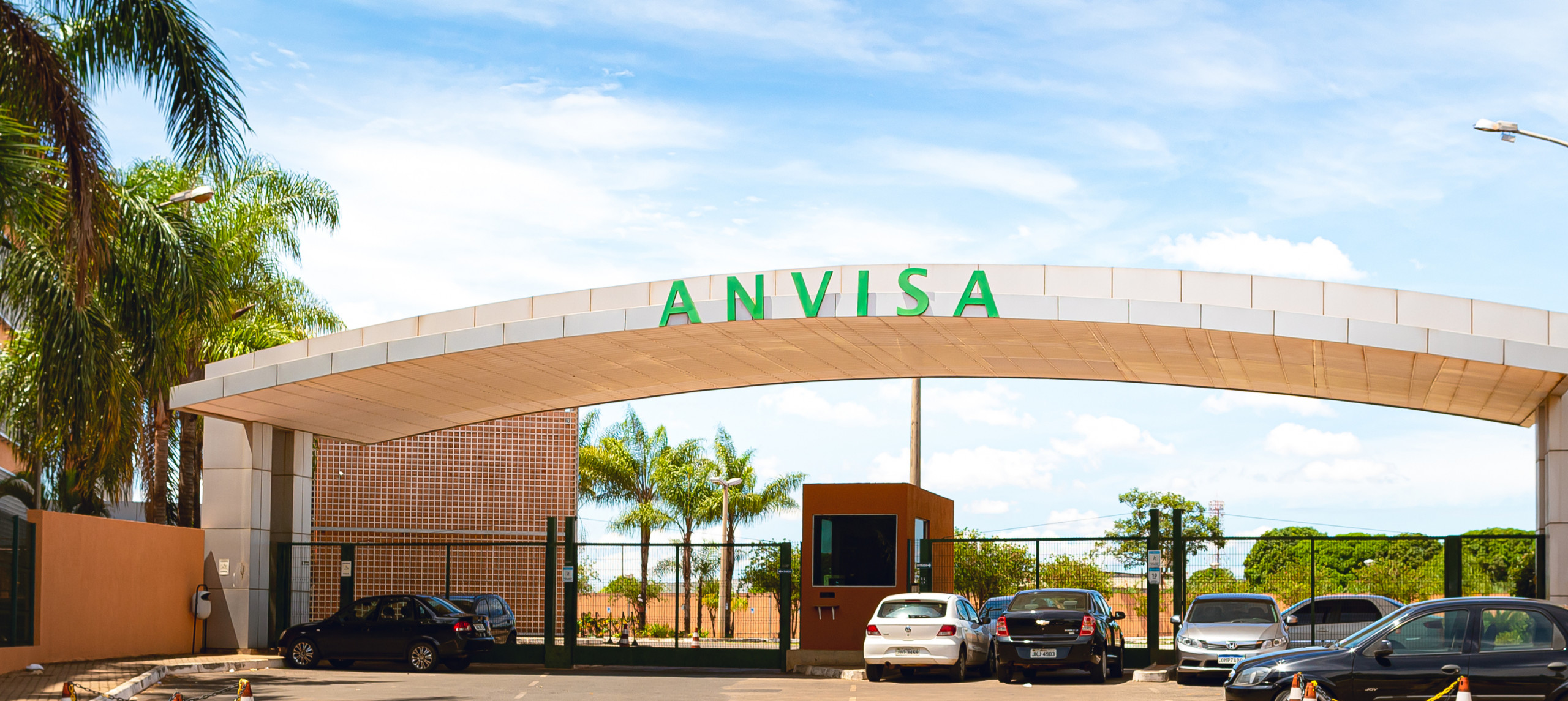 Anvisa proíbe azeite Ouro Negro, lotes de sal Kinino e o chamado Chá do Milagre - Imagem do artigo