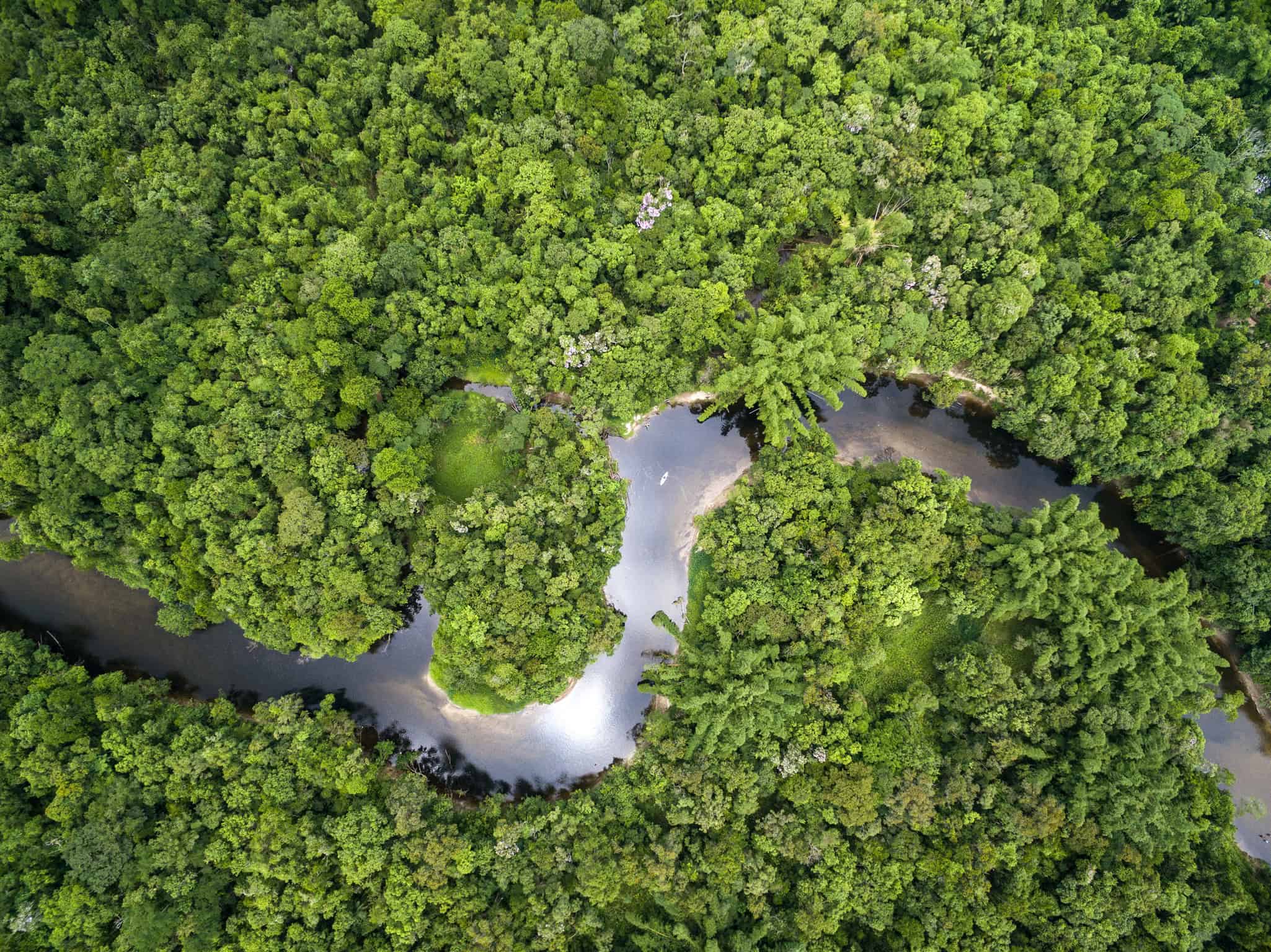 Ambientalistas prometem ação judicial contra licença do Ibama para perfuração da Petrobras na Foz do Amazonas - Imagem do artigo