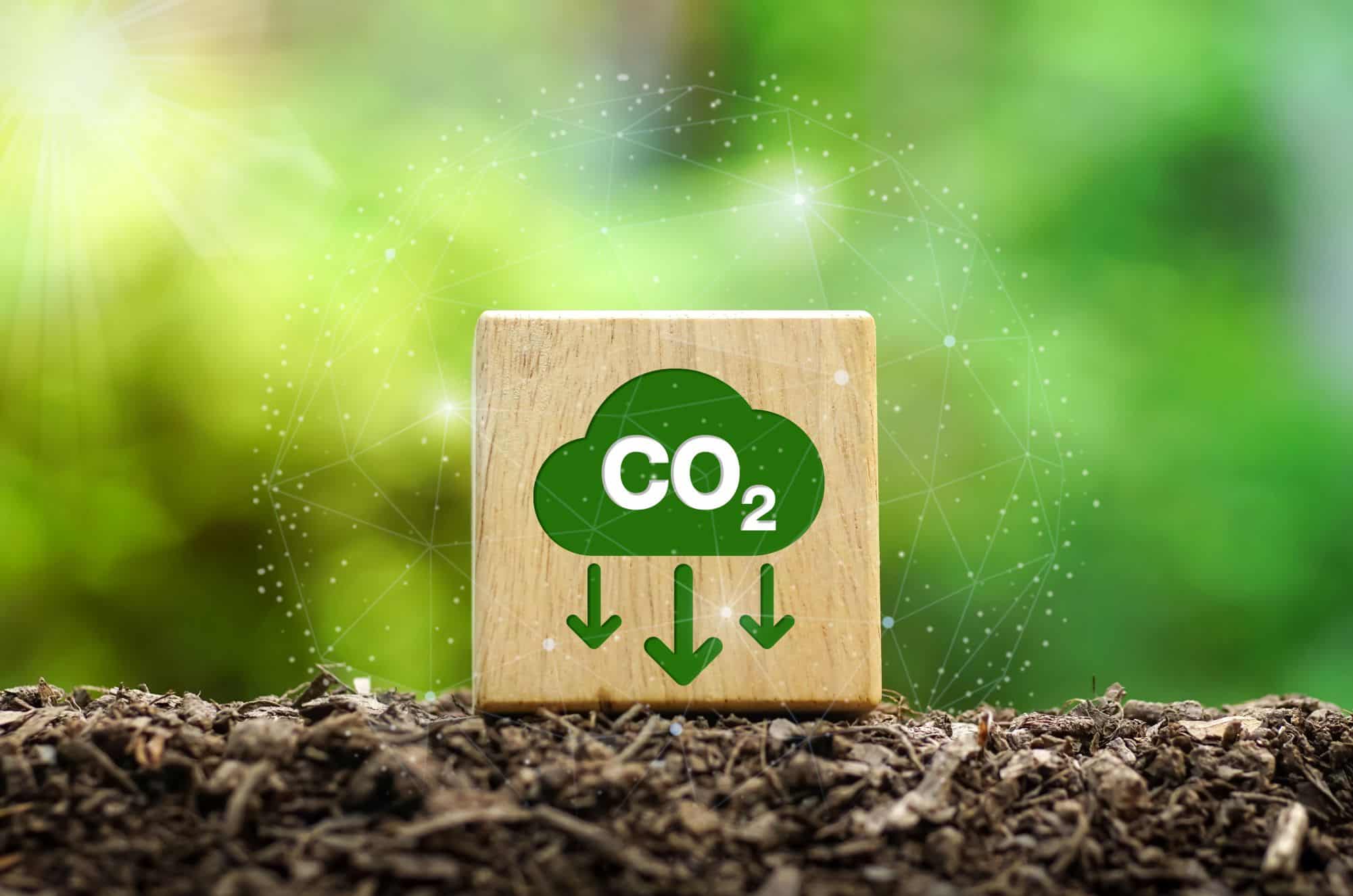 Regras globais de carbono ficam mais rígidas e elevam pressão sobre Big Techs - Imagem do artigo