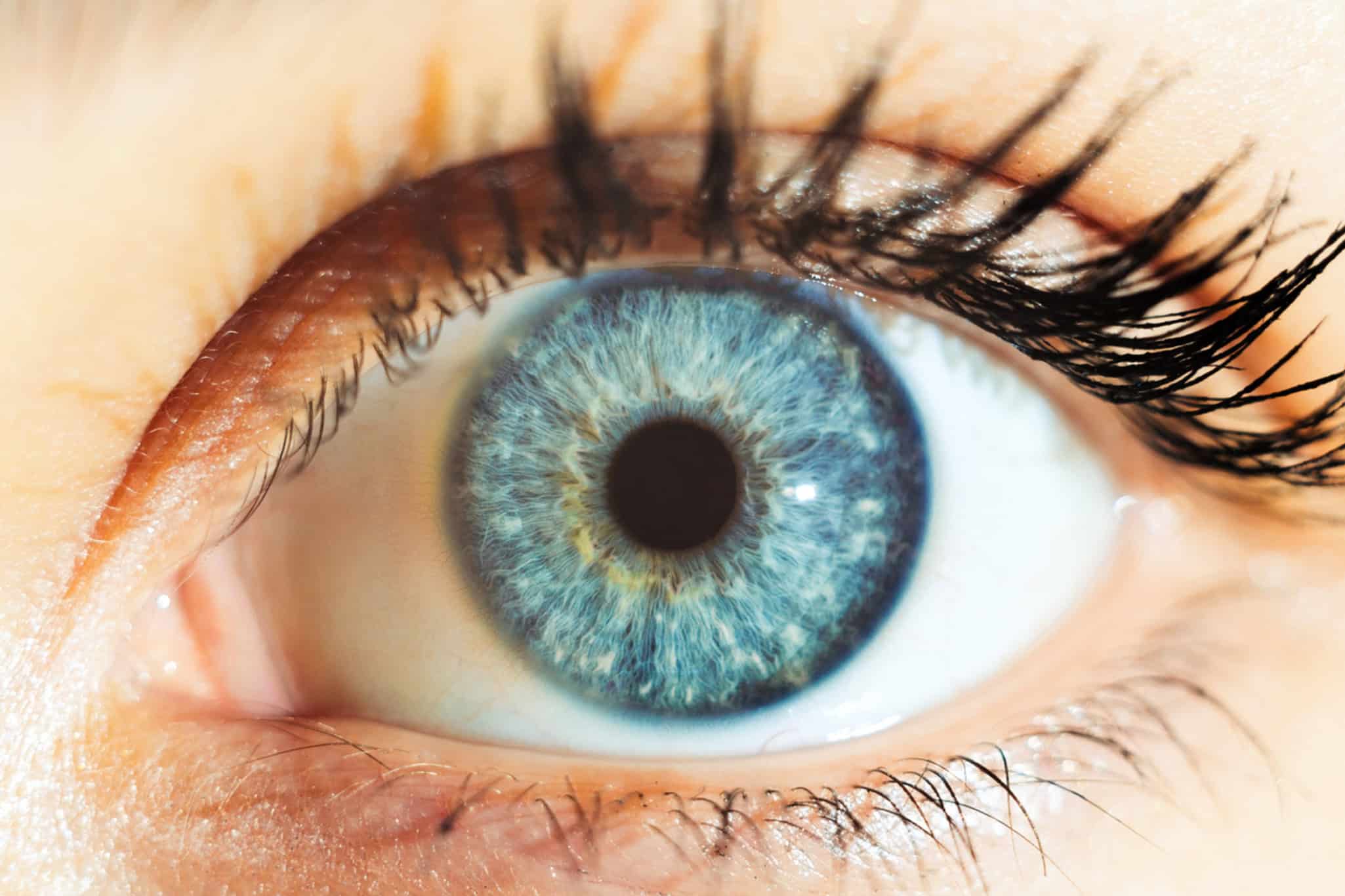 Implante ocular de 2 mm² oferece retorno parcial da visão a idosos com degeneração macular - Imagem do artigo