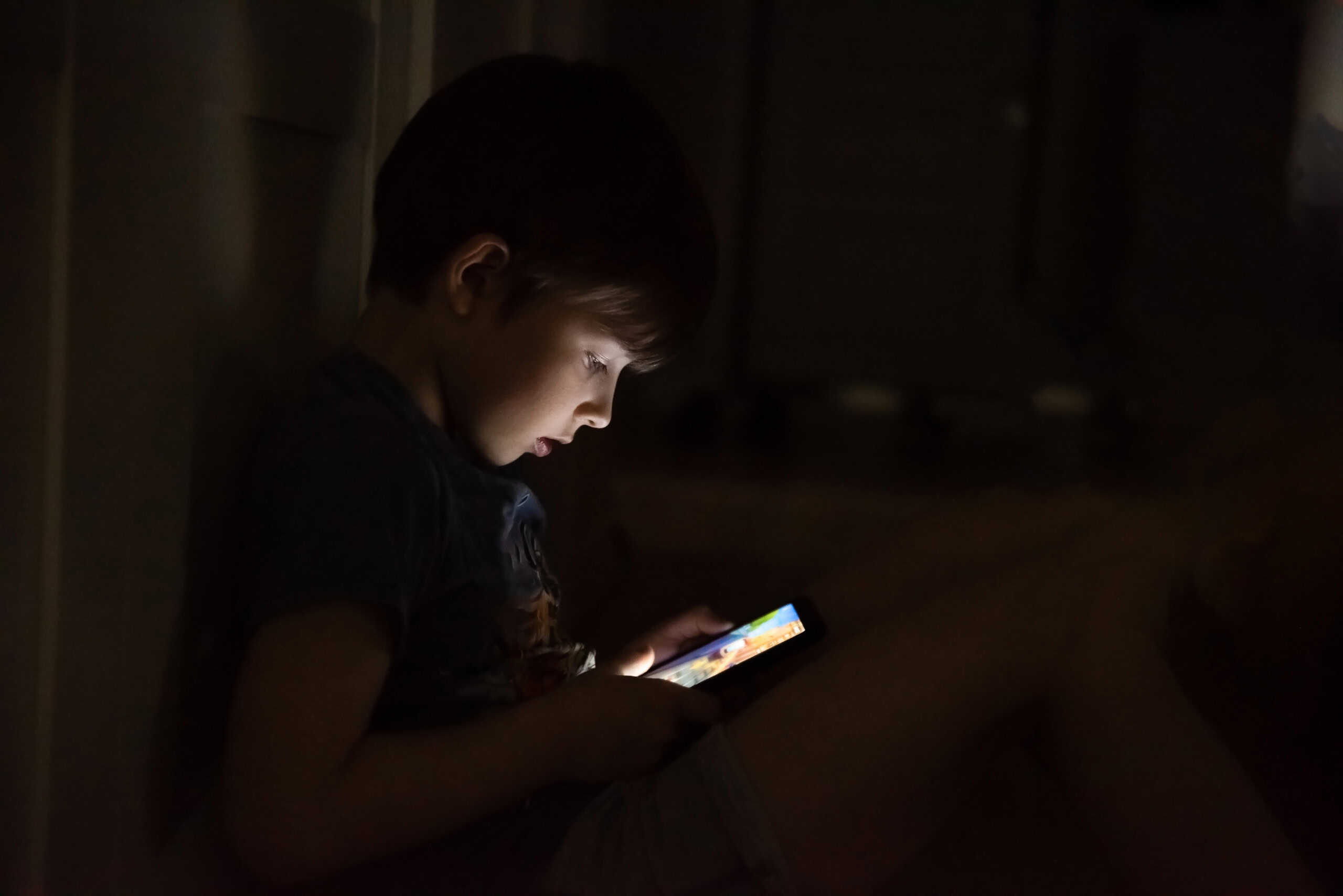 Guia gratuito orienta adolescentes sobre segurança e uso consciente da internet - Imagem do artigo