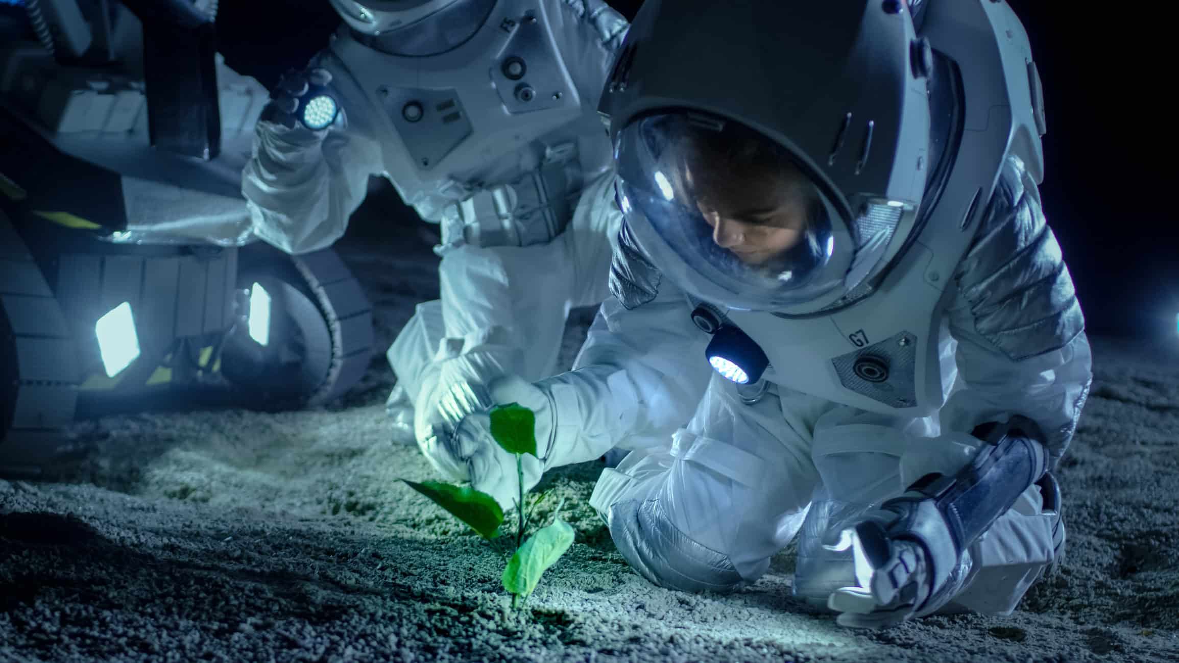 Astrônomo analisa desafios e destinos da humanidade além da Terra em “Olhar Espacial” - Imagem do artigo