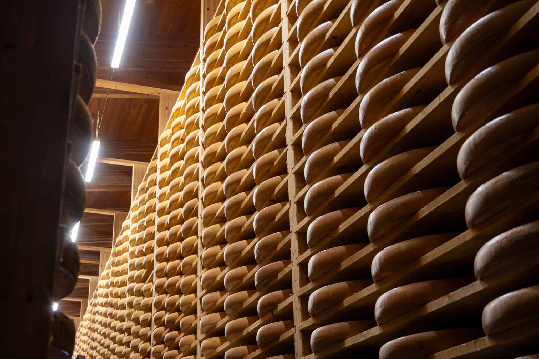 EUA guardam mais de 635 milhões de quilos de queijo em antigas minas subterrâneas - Imagem do artigo