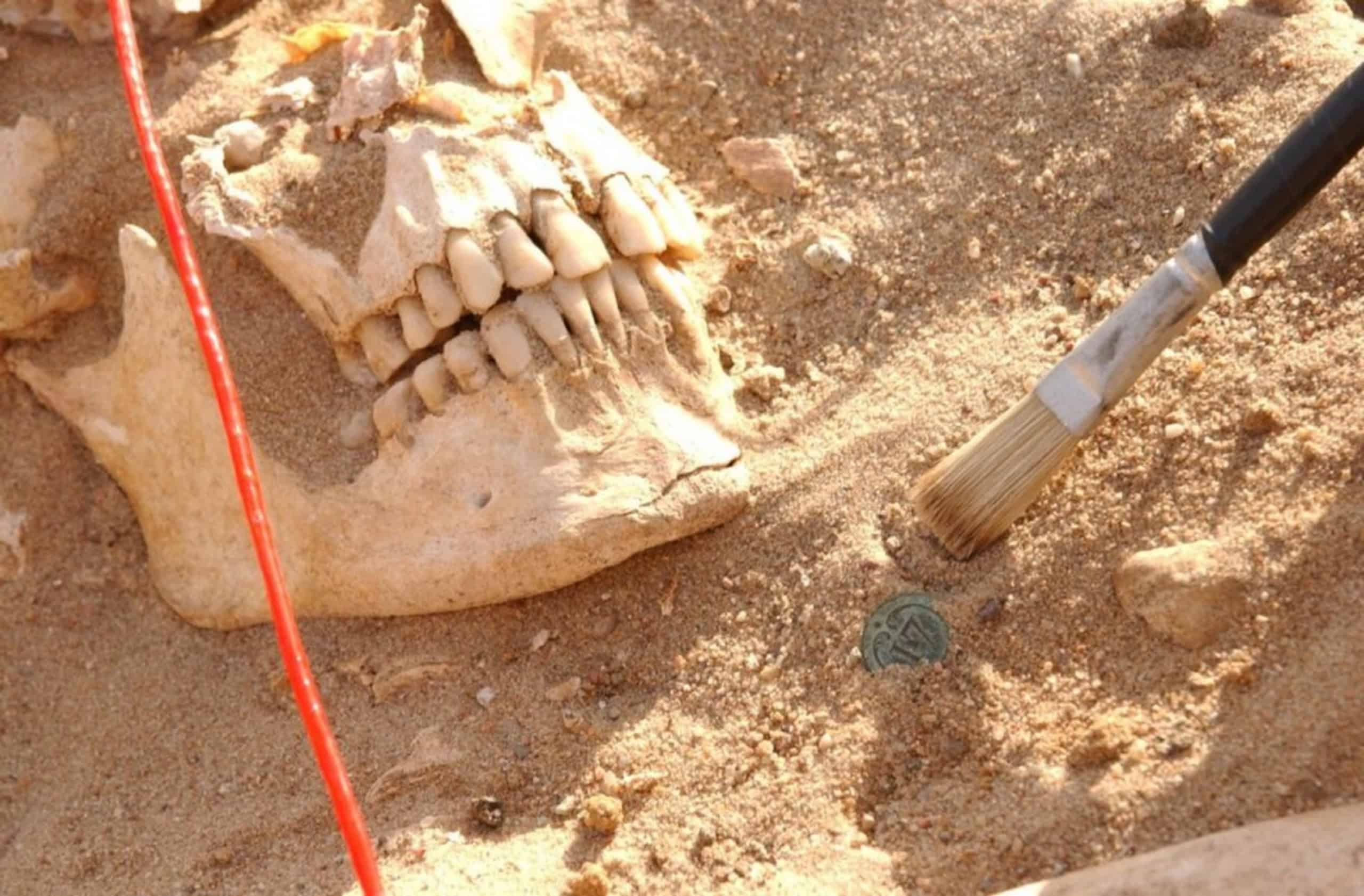 Estudo de DNA identifica febre paratifoide e febre recorrente entre soldados de Napoleão em 1812 - Imagem do artigo