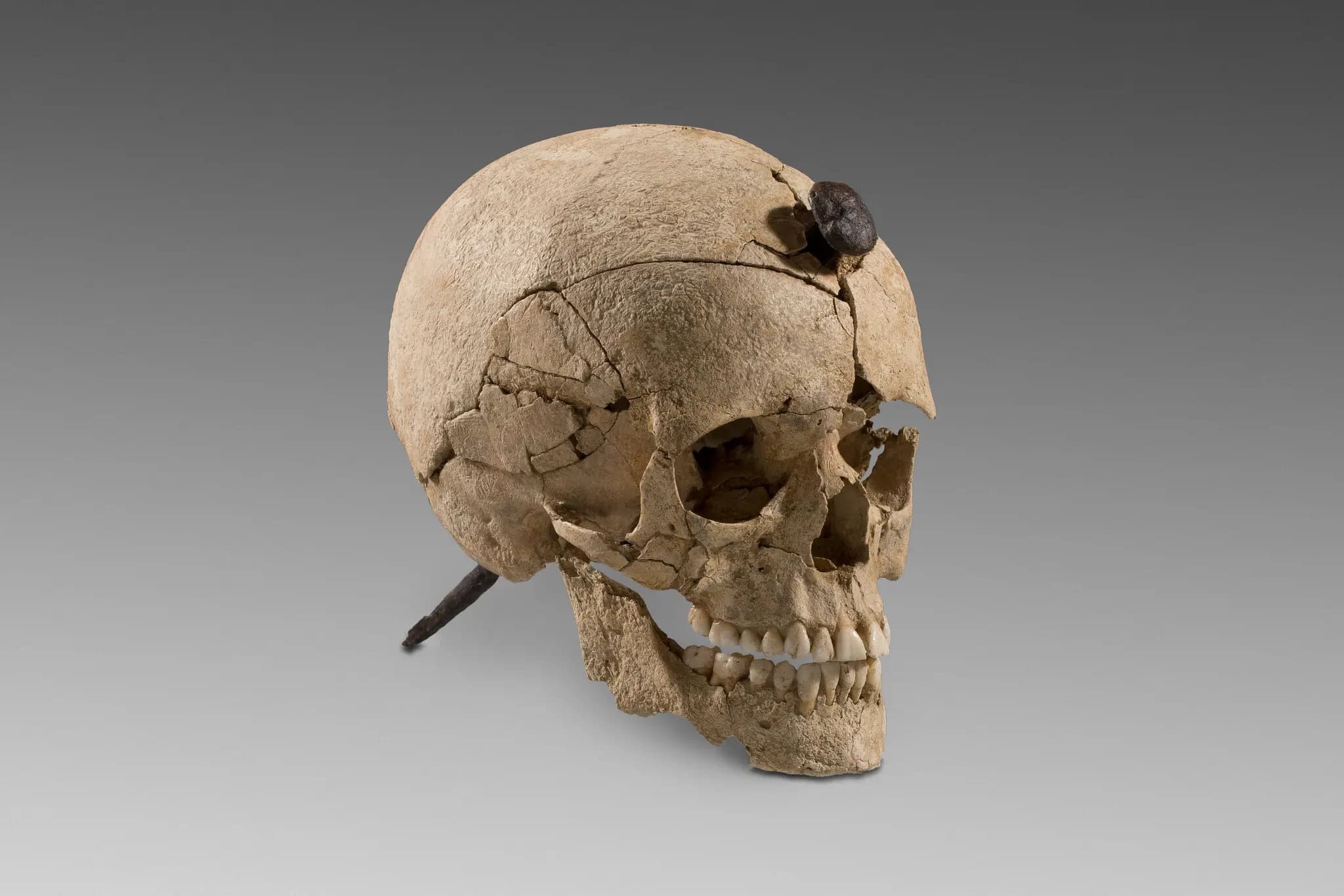Arqueólogos revelam uso múltiplo de crânios exibidos há dois mil anos na Catalunha - Imagem do artigo