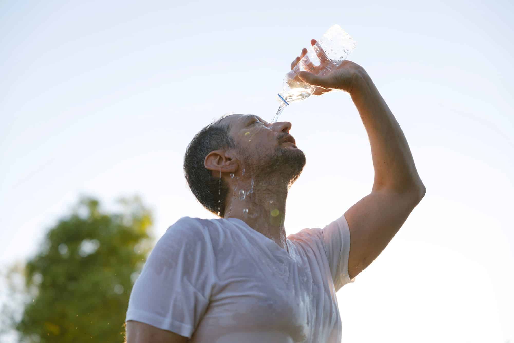 Estresse térmico: calor intenso eleva risco de desidratação, doenças cardíacas e mortes - Imagem do artigo