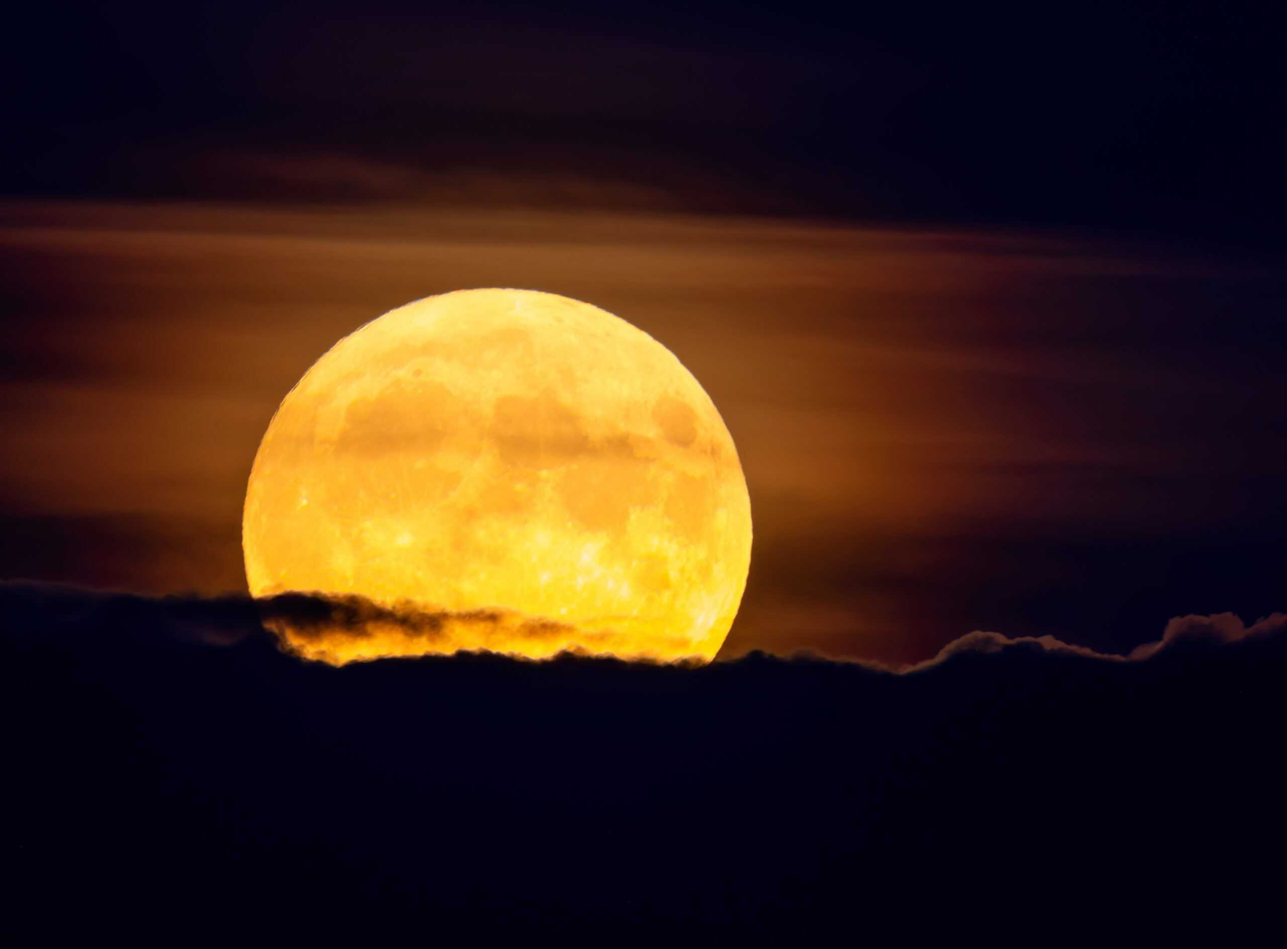 Maior Superlua de 2025 será visível na quarta-feira e promete brilho extra no céu - Imagem do artigo