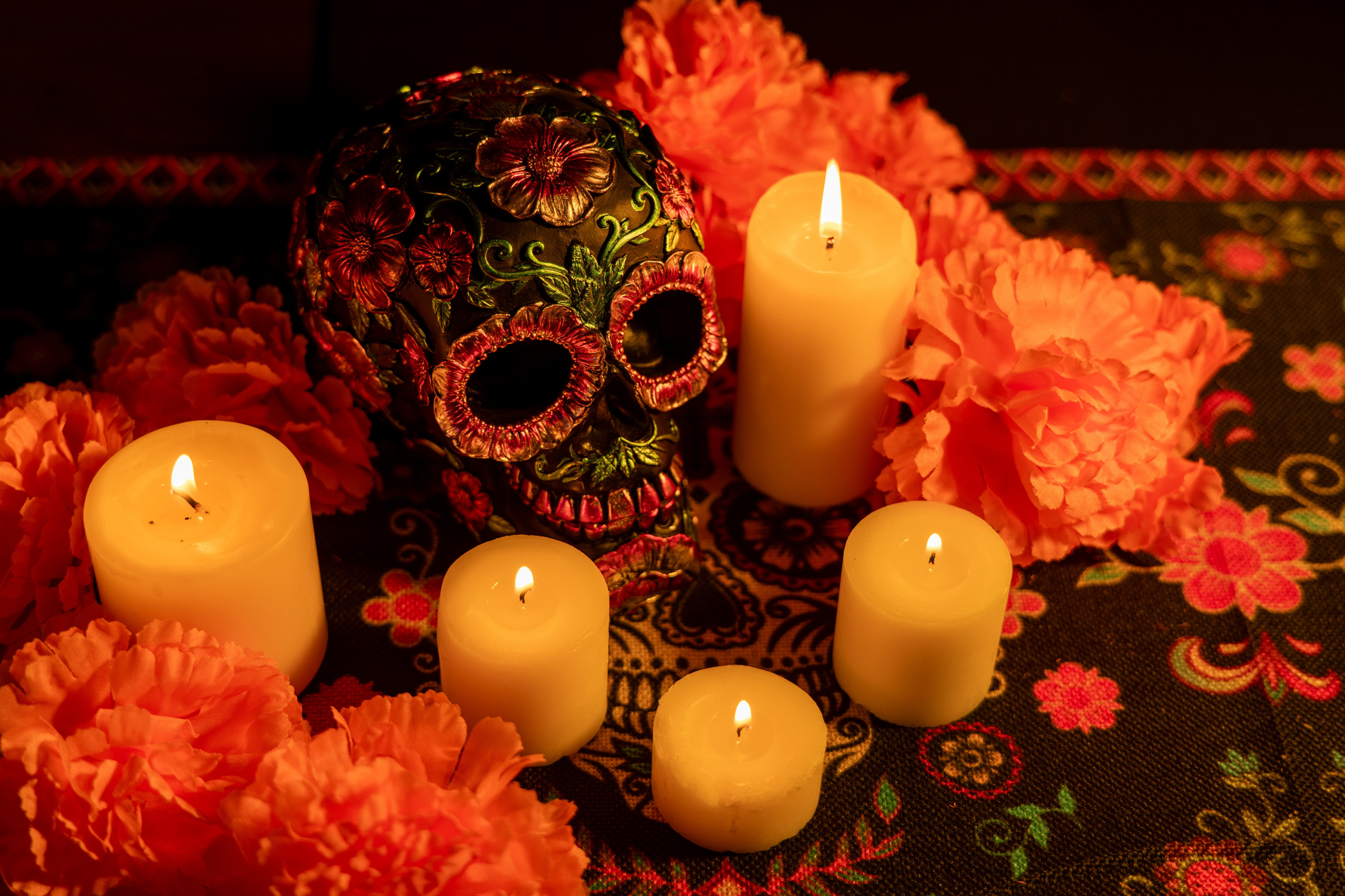 Aquecimento global ameaça cempasúchil, flor símbolo do Día de Los Muertos no México - Imagem do artigo