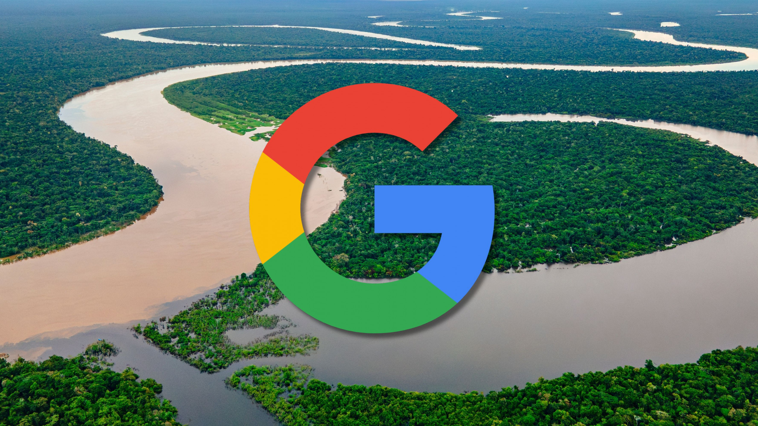 Google firma maior contrato de remoção de carbono com startup brasileira para reflorestar a Amazônia - Imagem do artigo