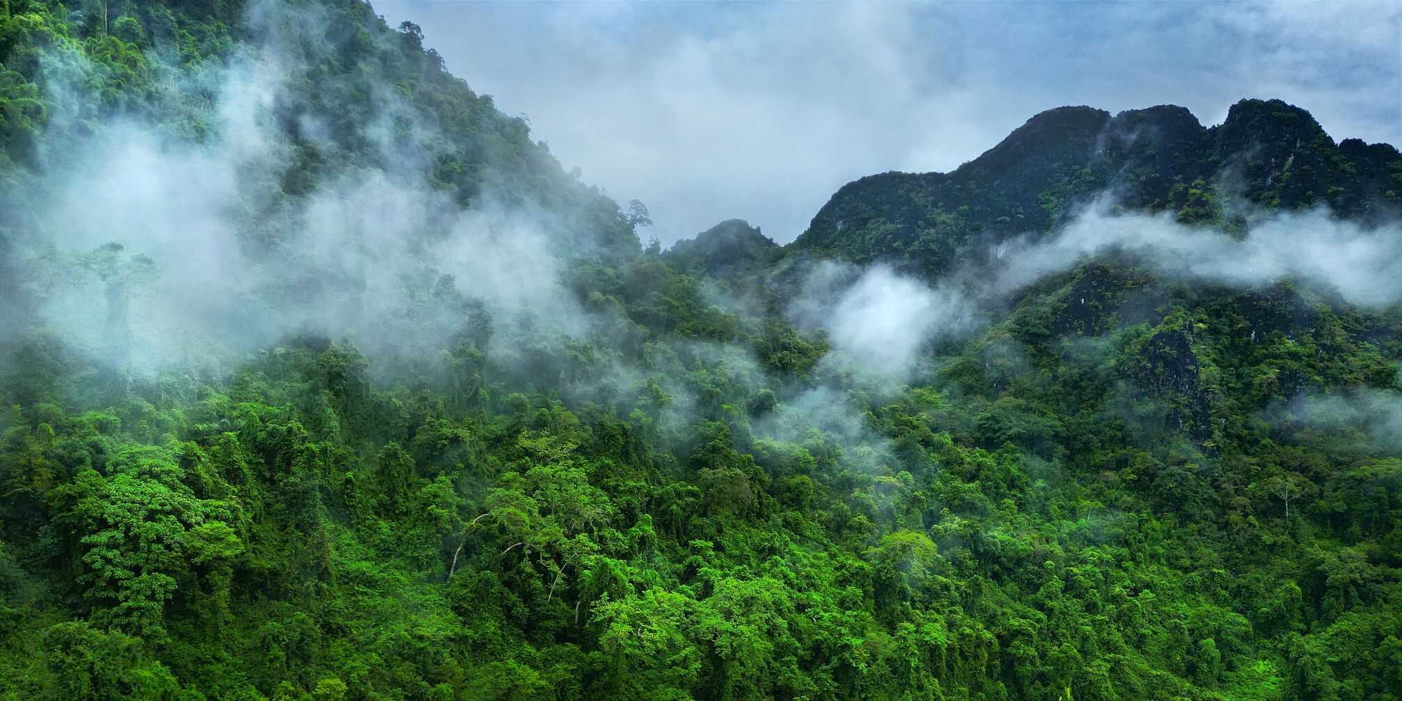 Civilização do Vale do Upano prosperou e desapareceu na Amazônia equatoriana - Imagem do artigo