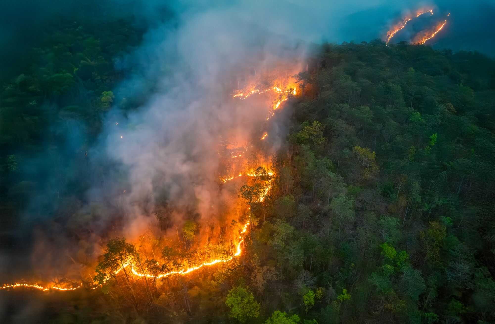 Incêndios em áreas protegidas caem ao segundo menor nível desde o início da série histórica - Imagem do artigo