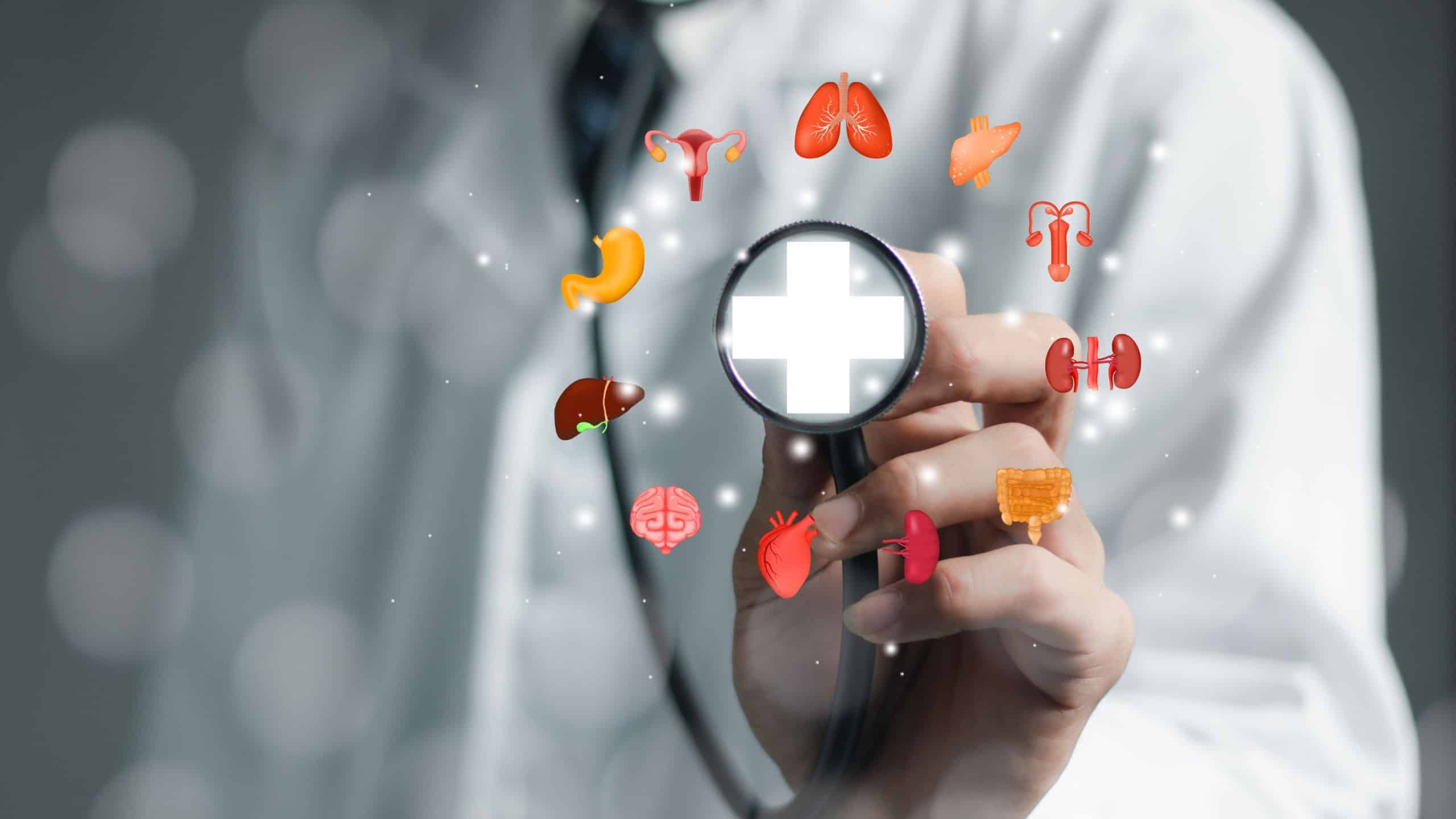 Exames de rotina: saiba quais testes médicos priorizar no check-up anual, segundo especialistas - Imagem do artigo