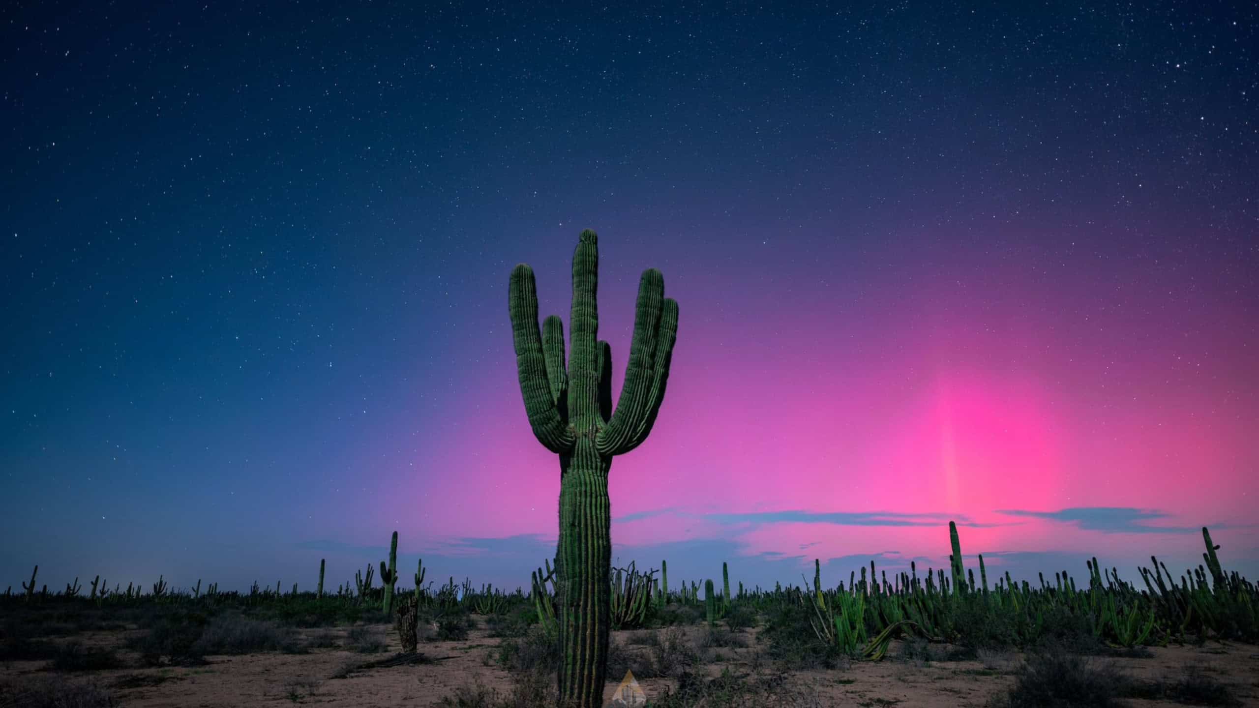 Fenômenos naturais raros que quase ninguém consegue ver - Imagem do artigo