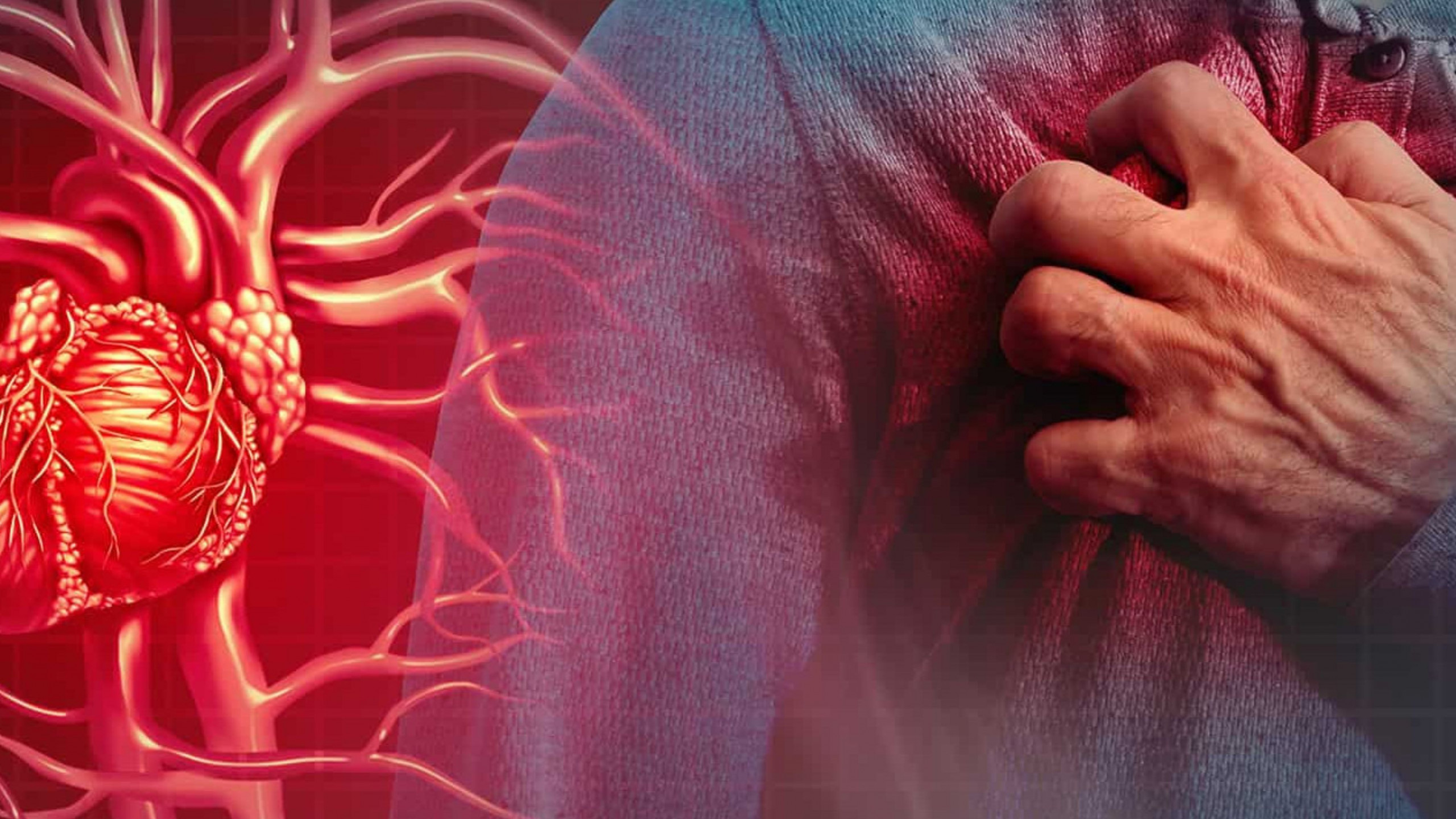 Estresse prolongado eleva risco de infarto e AVC, apontam estudos - Imagem do artigo