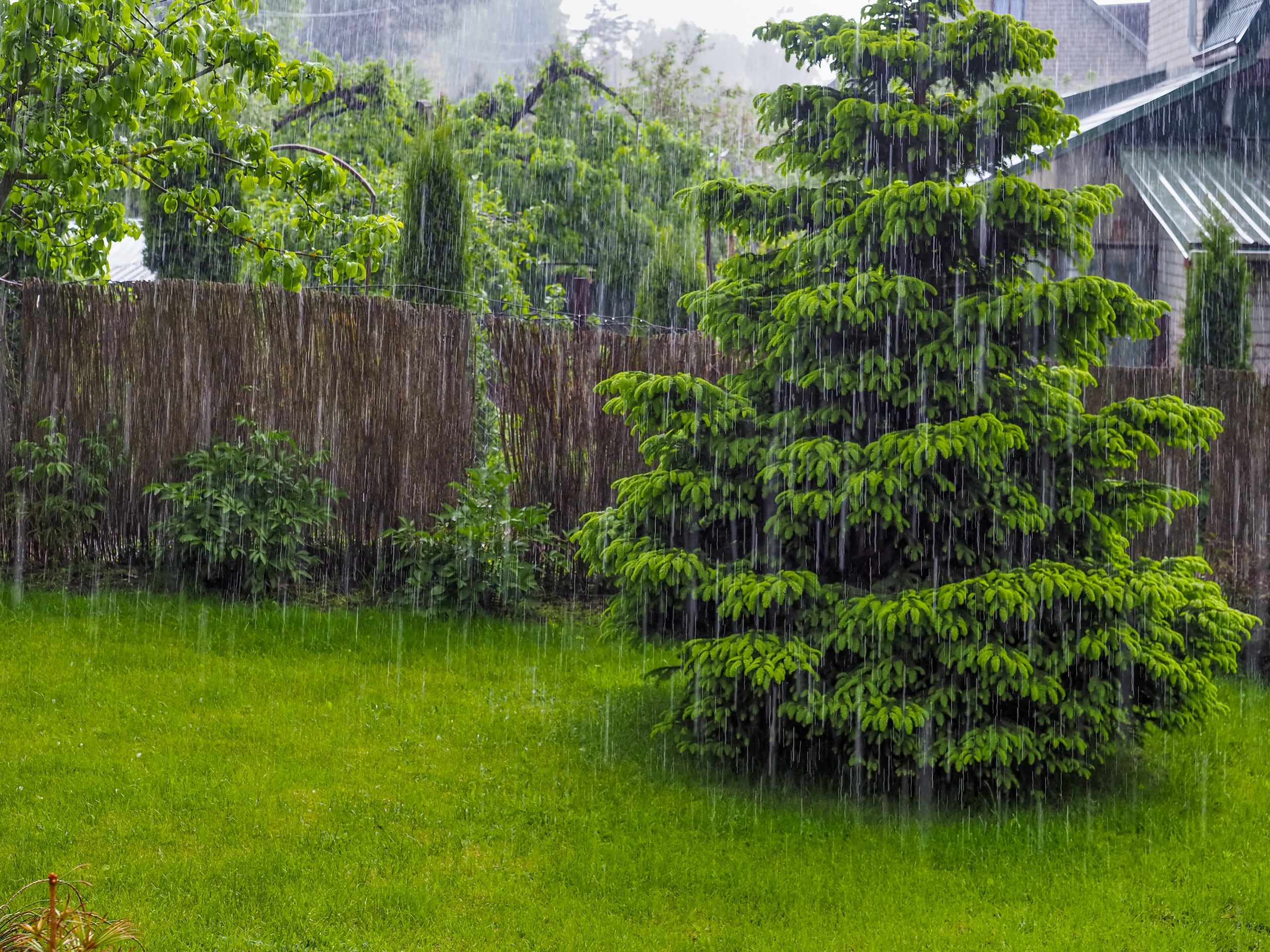 Inmet emite alerta de chuva intensa para 14 estados a partir desta terça-feira - Imagem do artigo