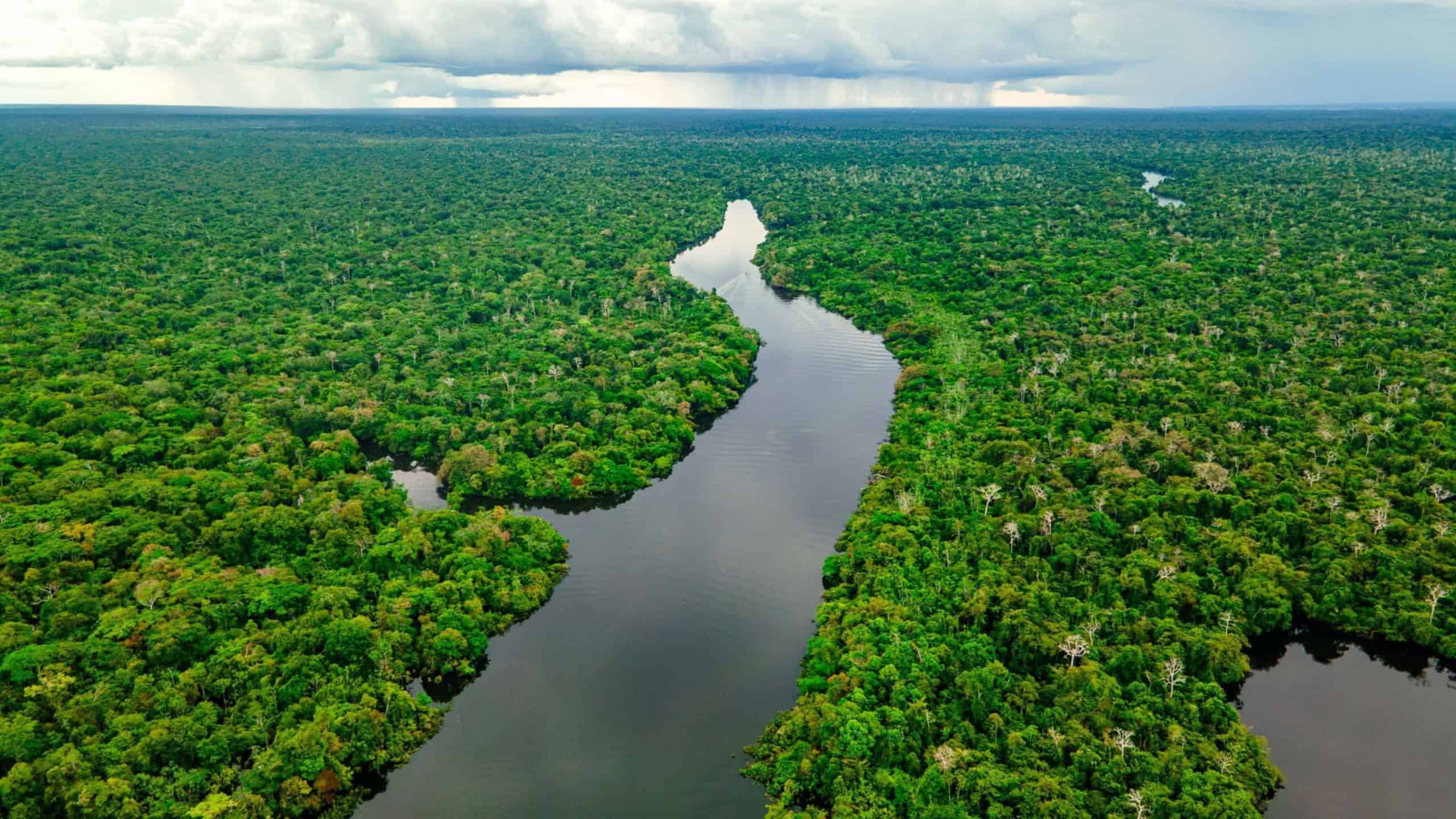 Governo aprova Plano Clima e estabelece metas de redução de emissões até 2035 - Imagem do artigo