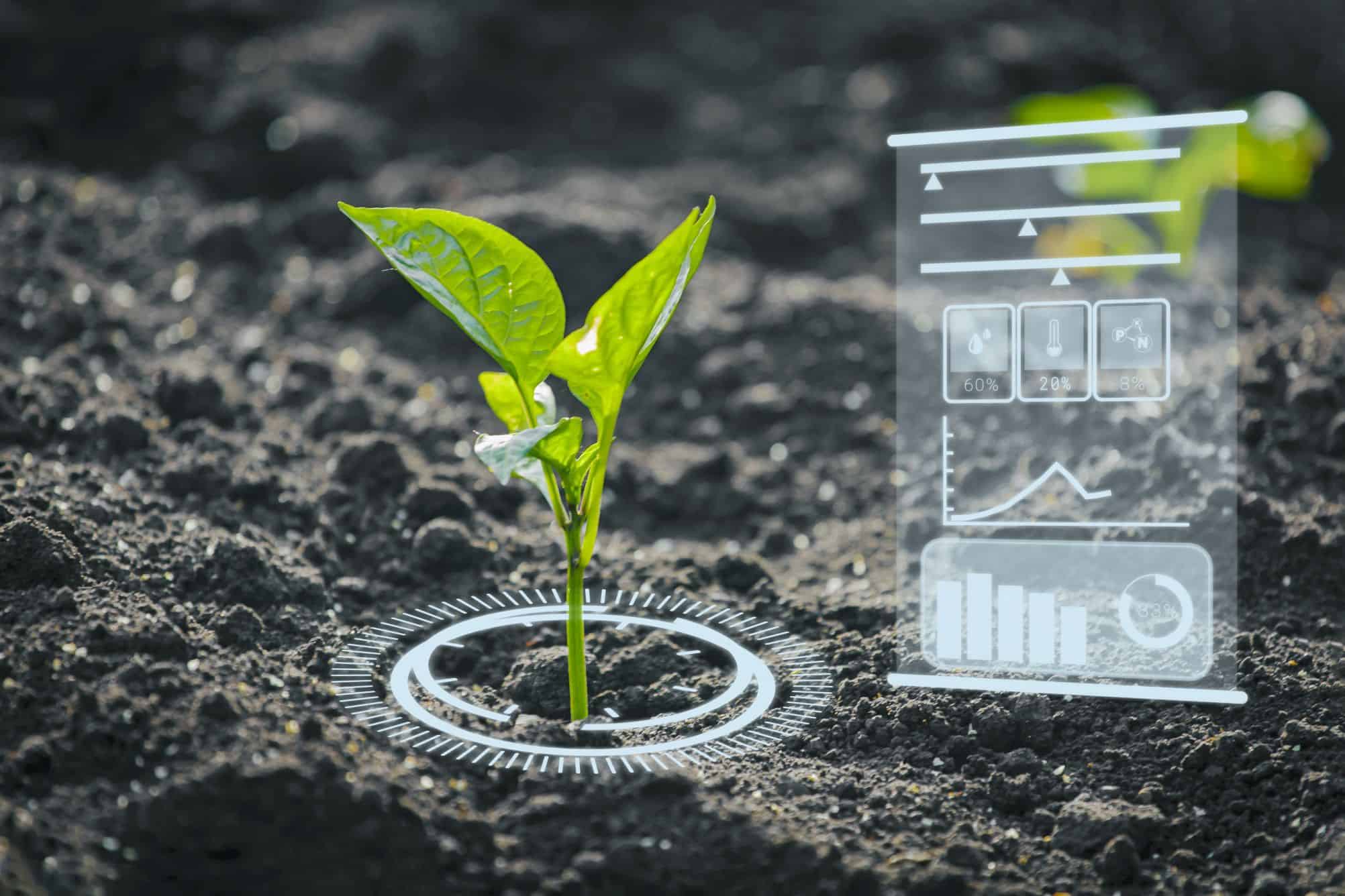 Estudo israelense mostra que plantas “gritam” em frequência ultrassônica quando sofrem estresse - Imagem do artigo