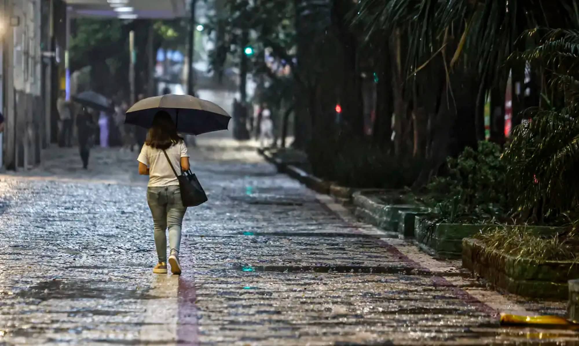 Primeiro dia de verão começa com alerta de temporal no Rio Grande do Sul - Imagem do artigo