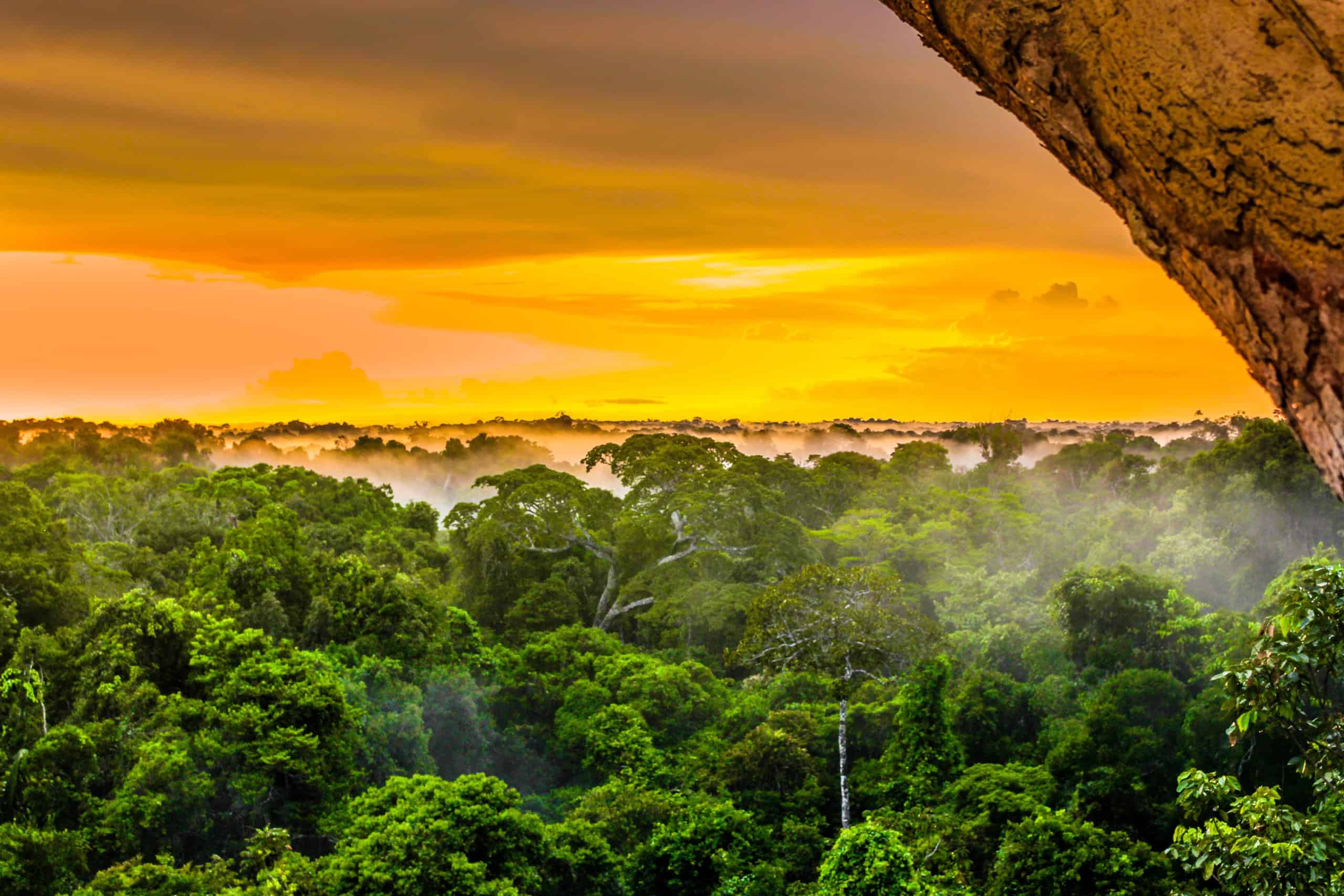 Relatório Geo Brasil 2025 indica que biomas brasileiros se aproximam de ponto de não retorno - Imagem do artigo