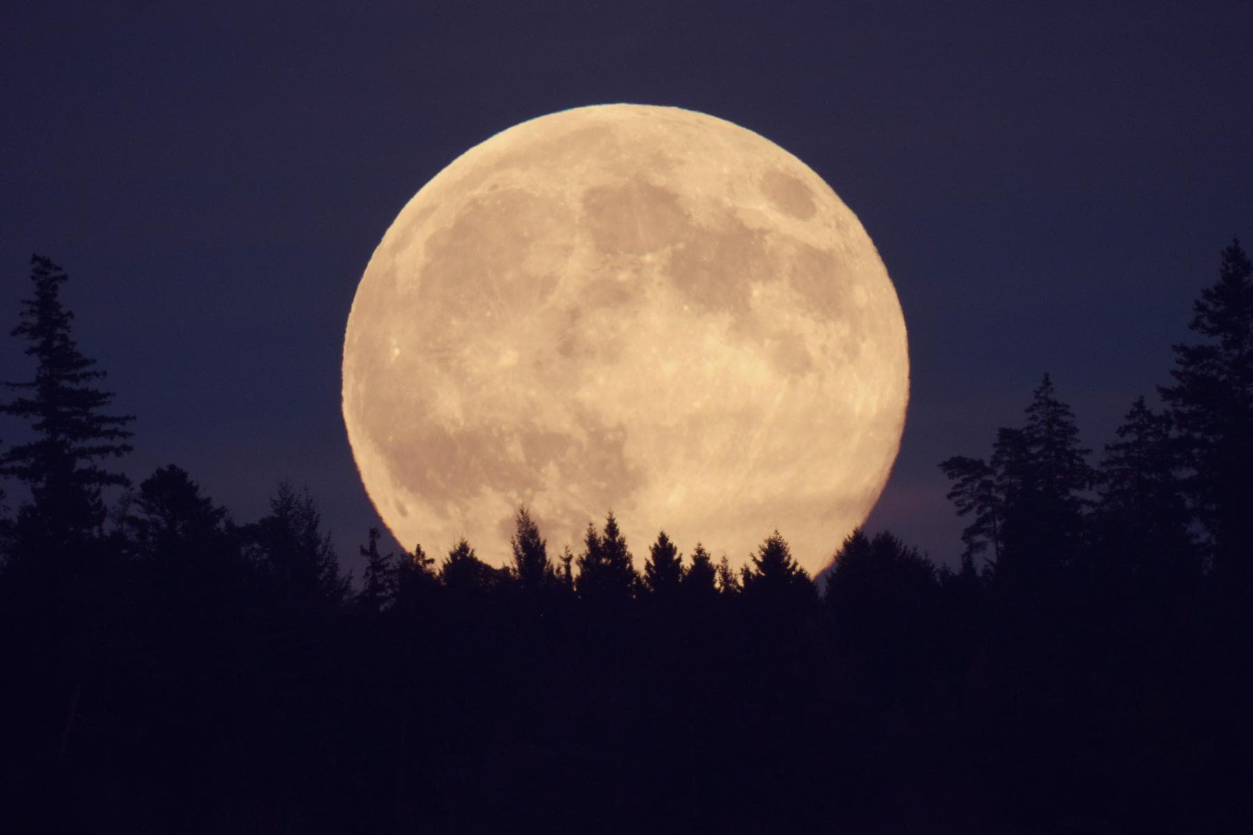 2026 terá três Superluas; confira as datas e as características do fenômeno - Imagem do artigo