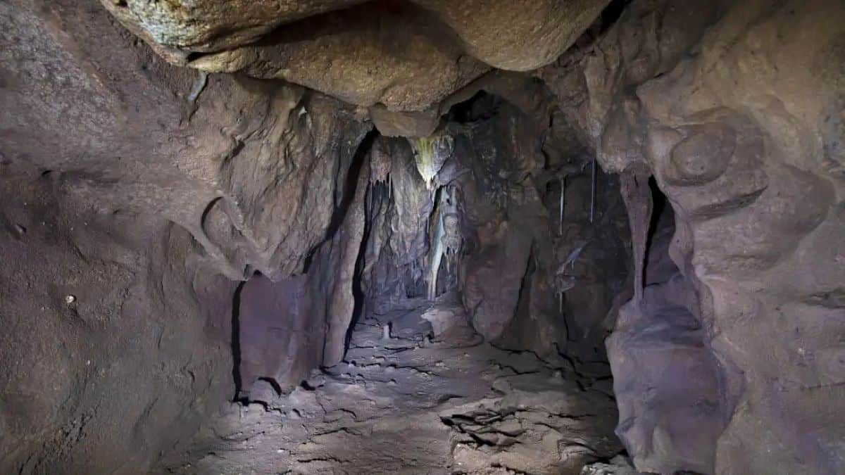 Caverna em Gibraltar pode ter abrigado os últimos neandertais até 24 mil anos atrás - Imagem do artigo