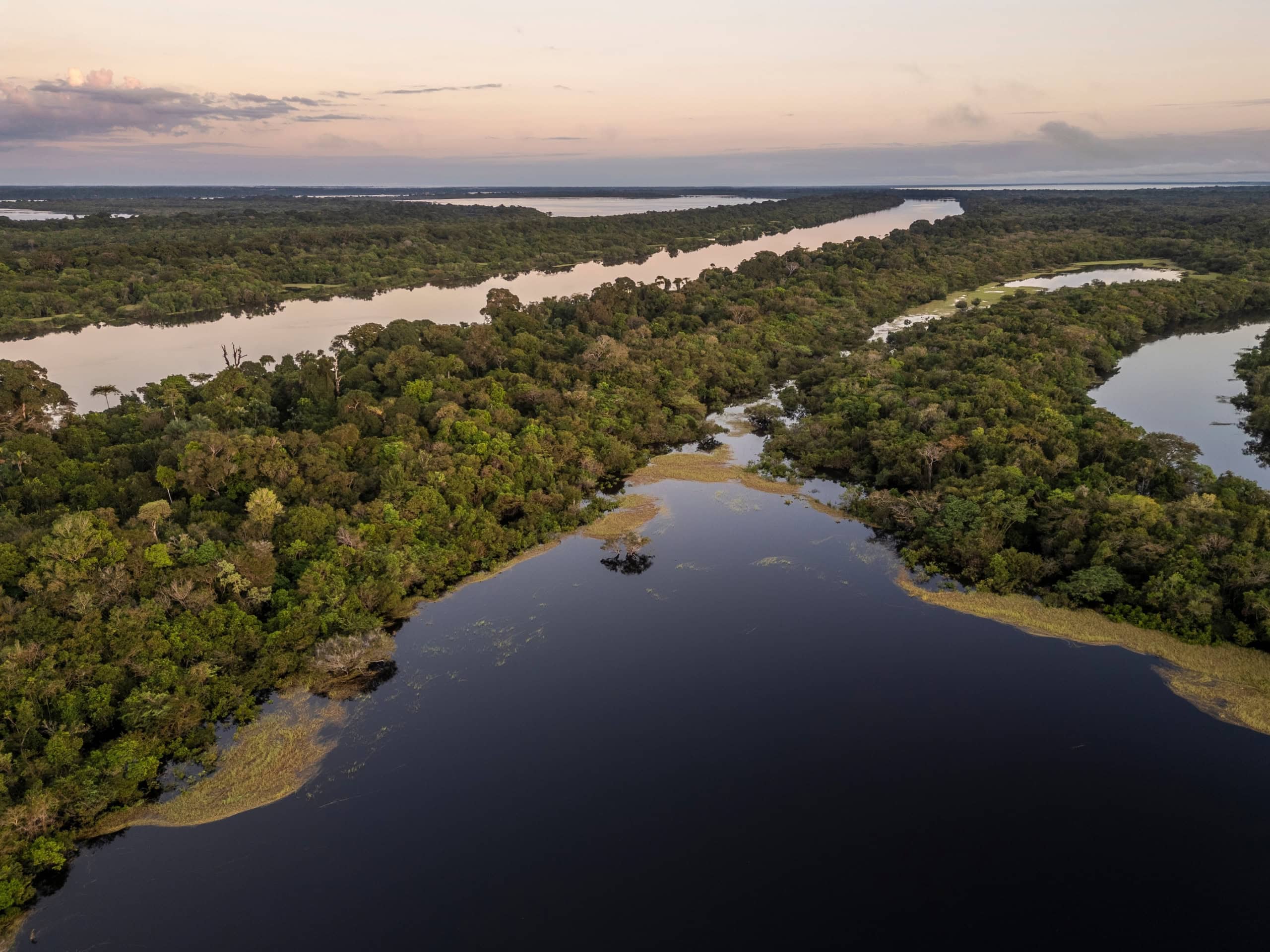 Ciência esclarece: Amazônia não é a principal fornecedora de oxigênio do planeta - Imagem do artigo